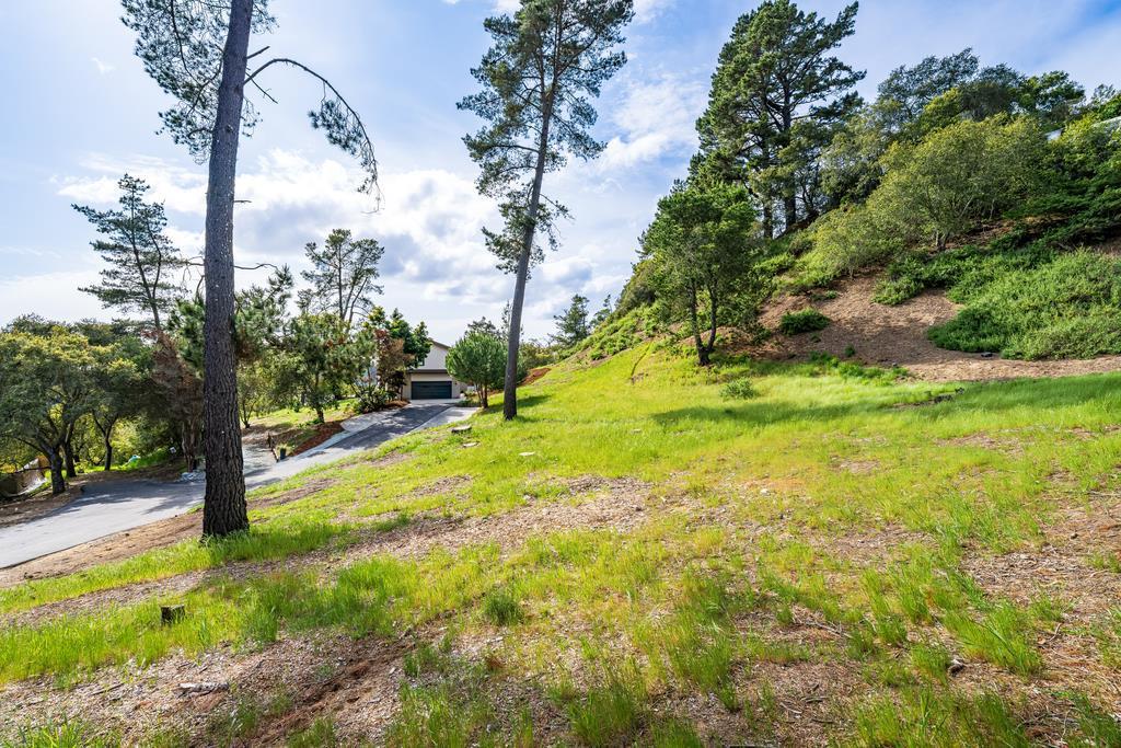 407 Quail Run