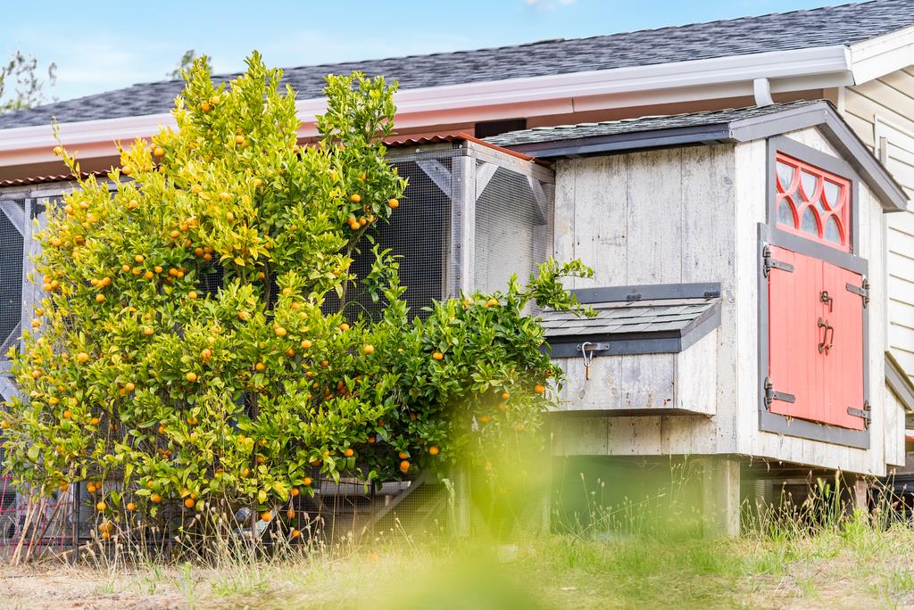 1501 Hidden Valley Road