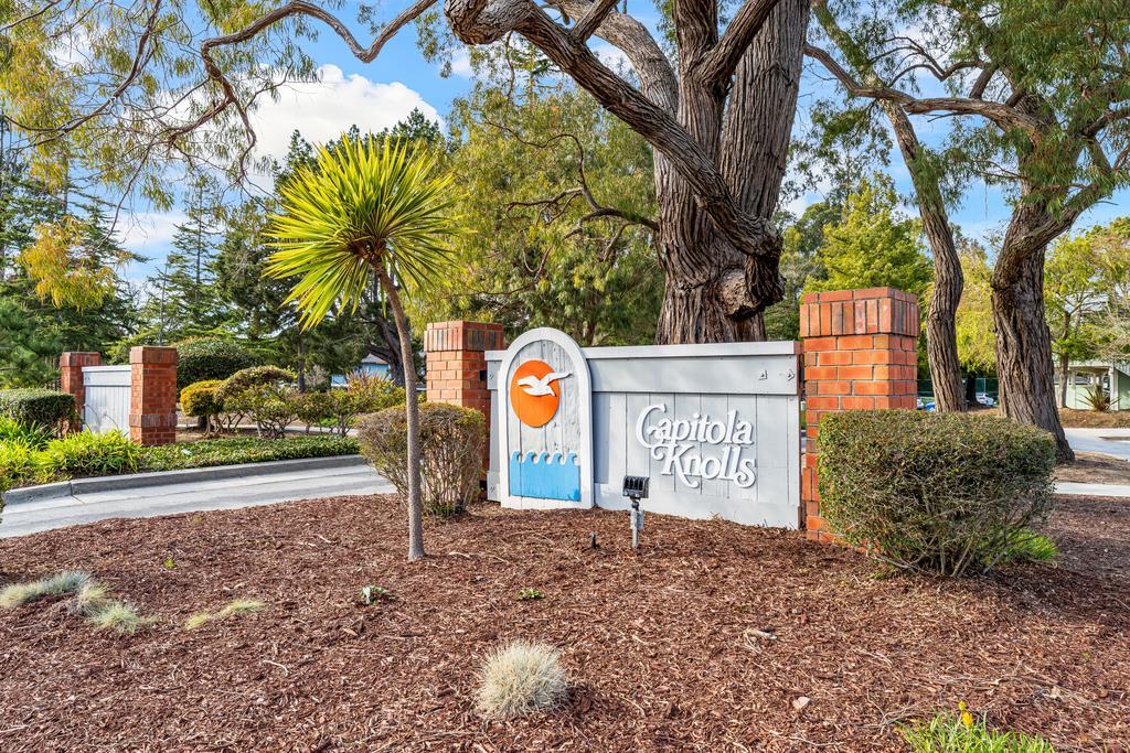 1133 Callas Lane 2