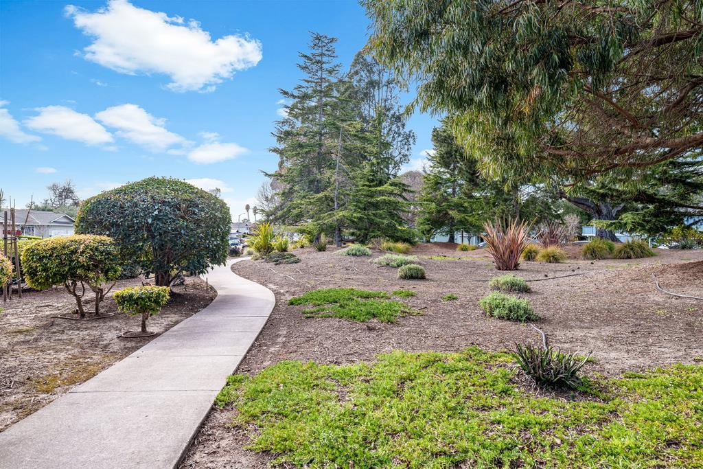 1133 Callas Lane 2