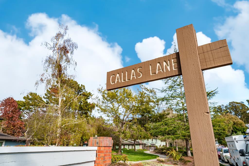 1133 Callas Lane 2