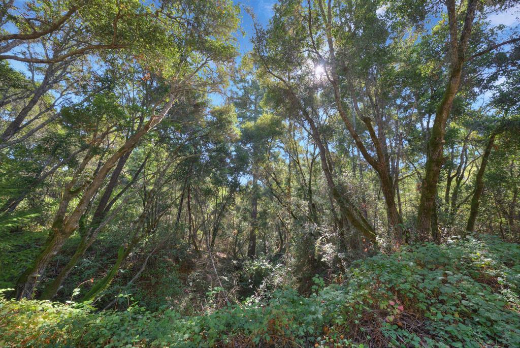 900 Mesa Grande Road