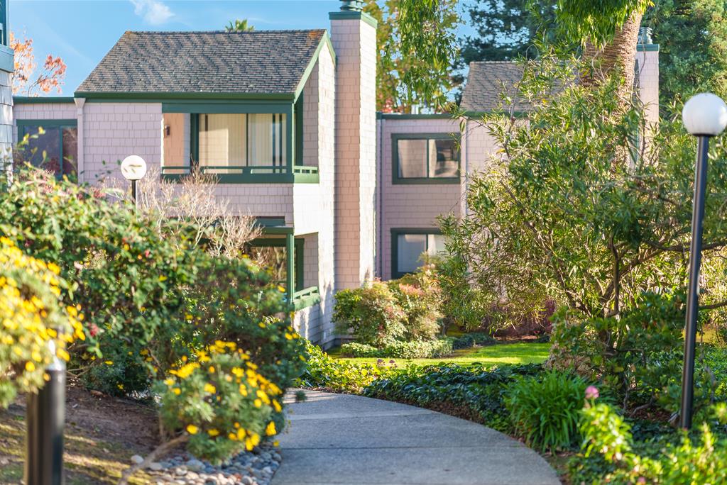 318 Soquel Avenue D3