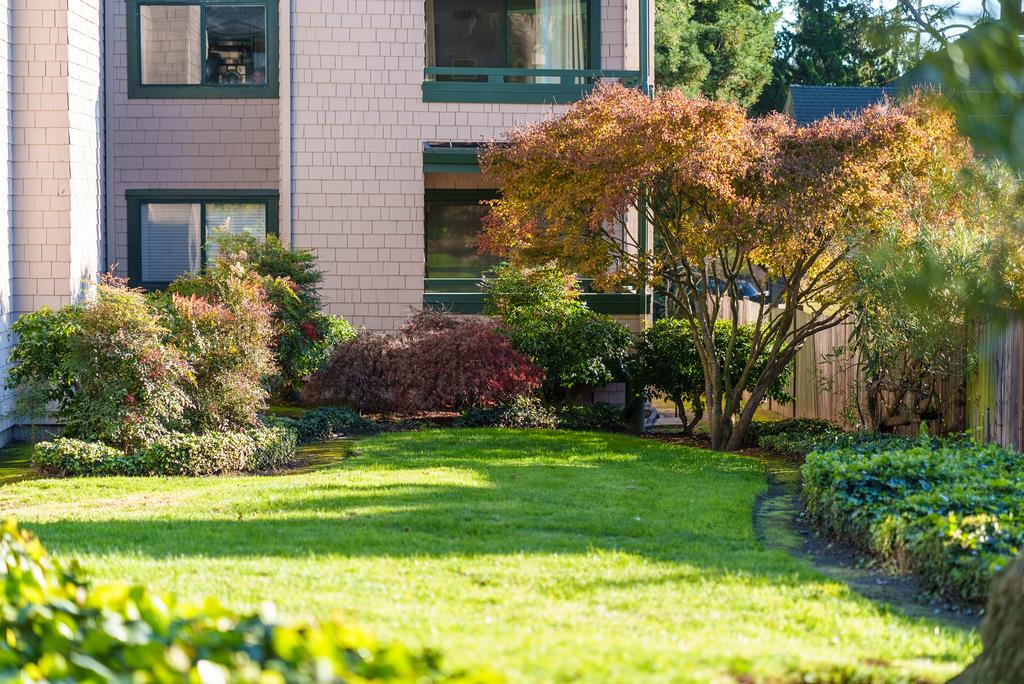 318 Soquel Avenue D3