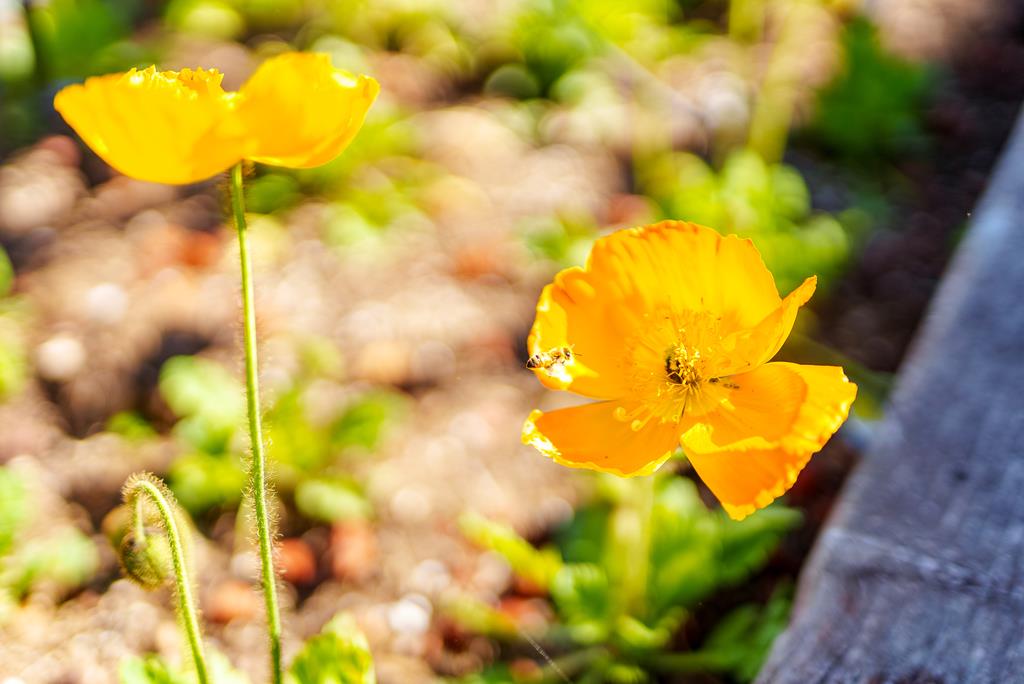 214 Fairmount Avenue