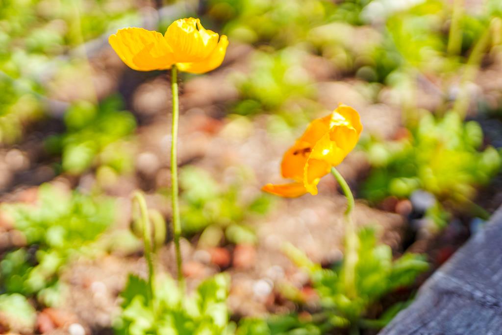 214 Fairmount Avenue