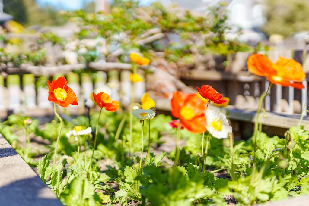 214 Fairmount Avenue