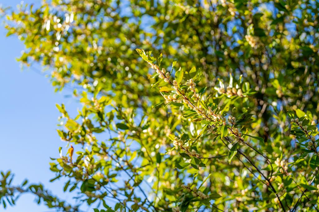 11891 Brookglen Drive