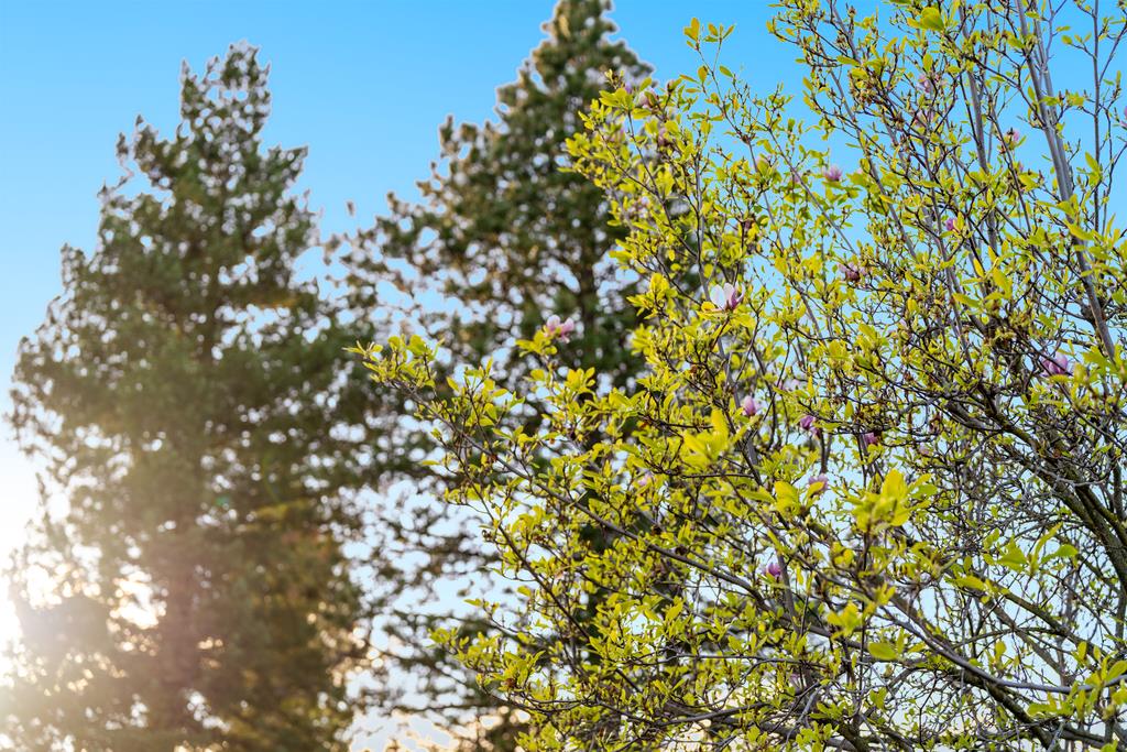 11891 Brookglen Drive