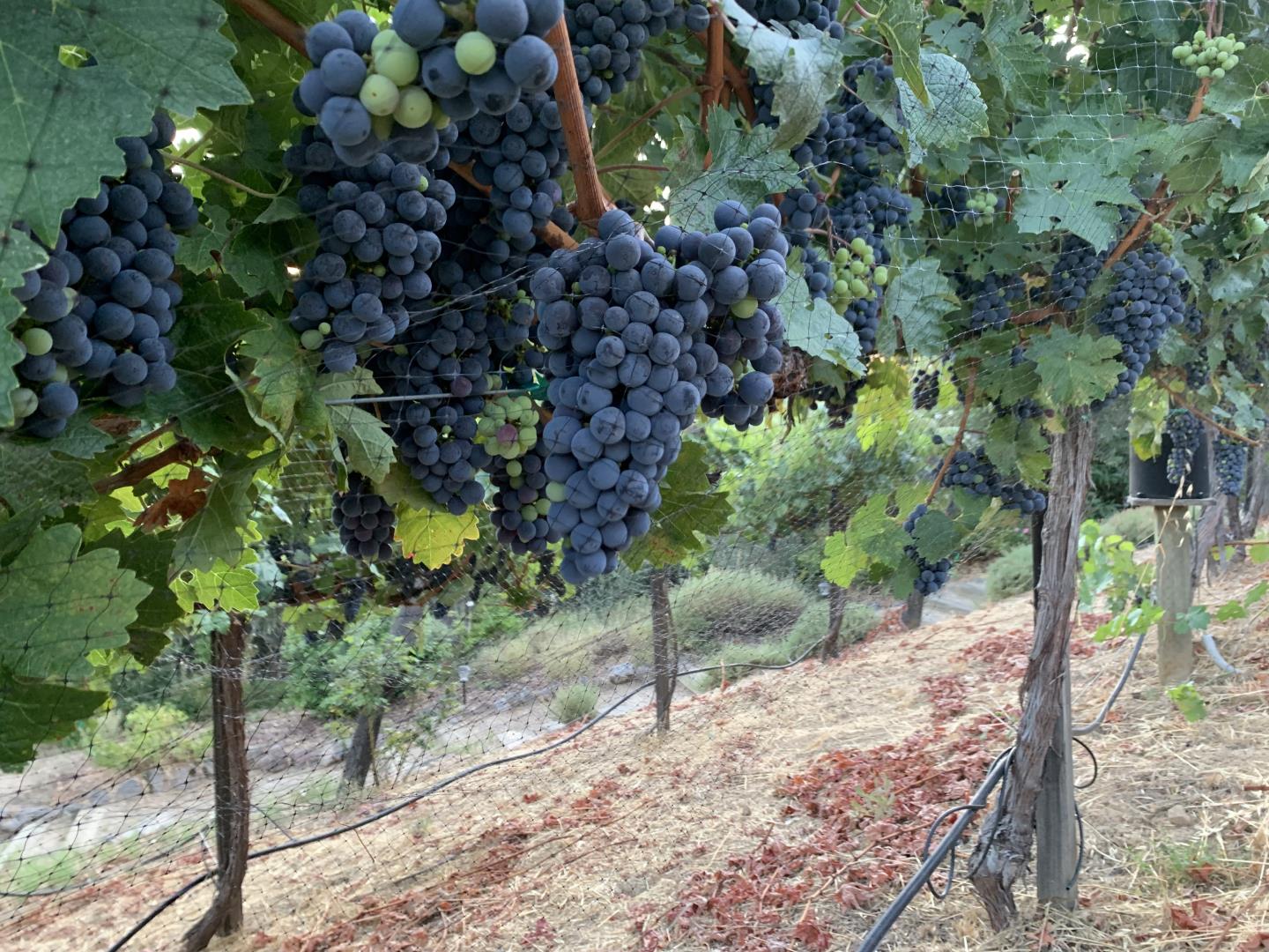 25220 Quail Ridge Road