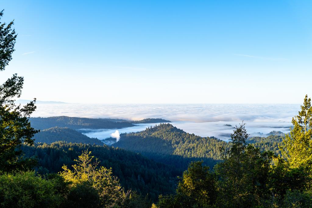 25220 Quail Ridge Road