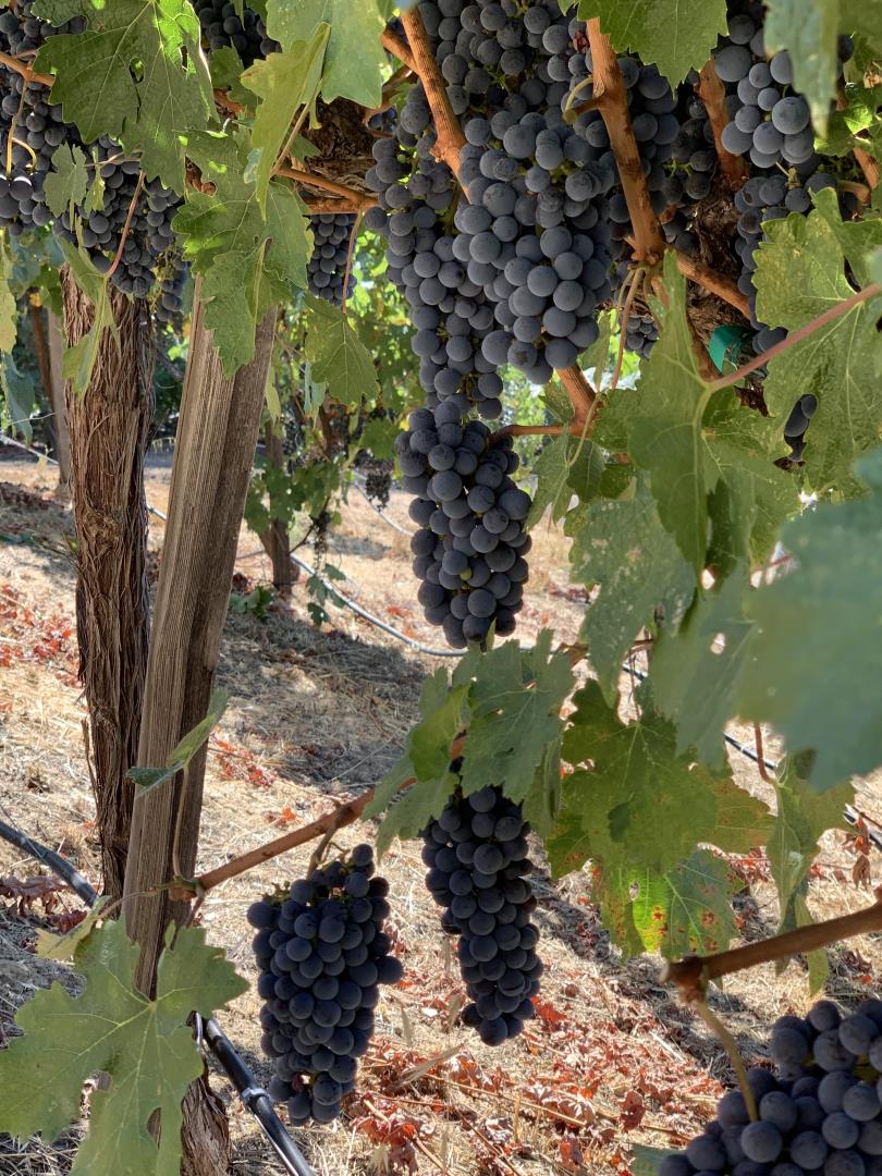 25220 Quail Ridge Road