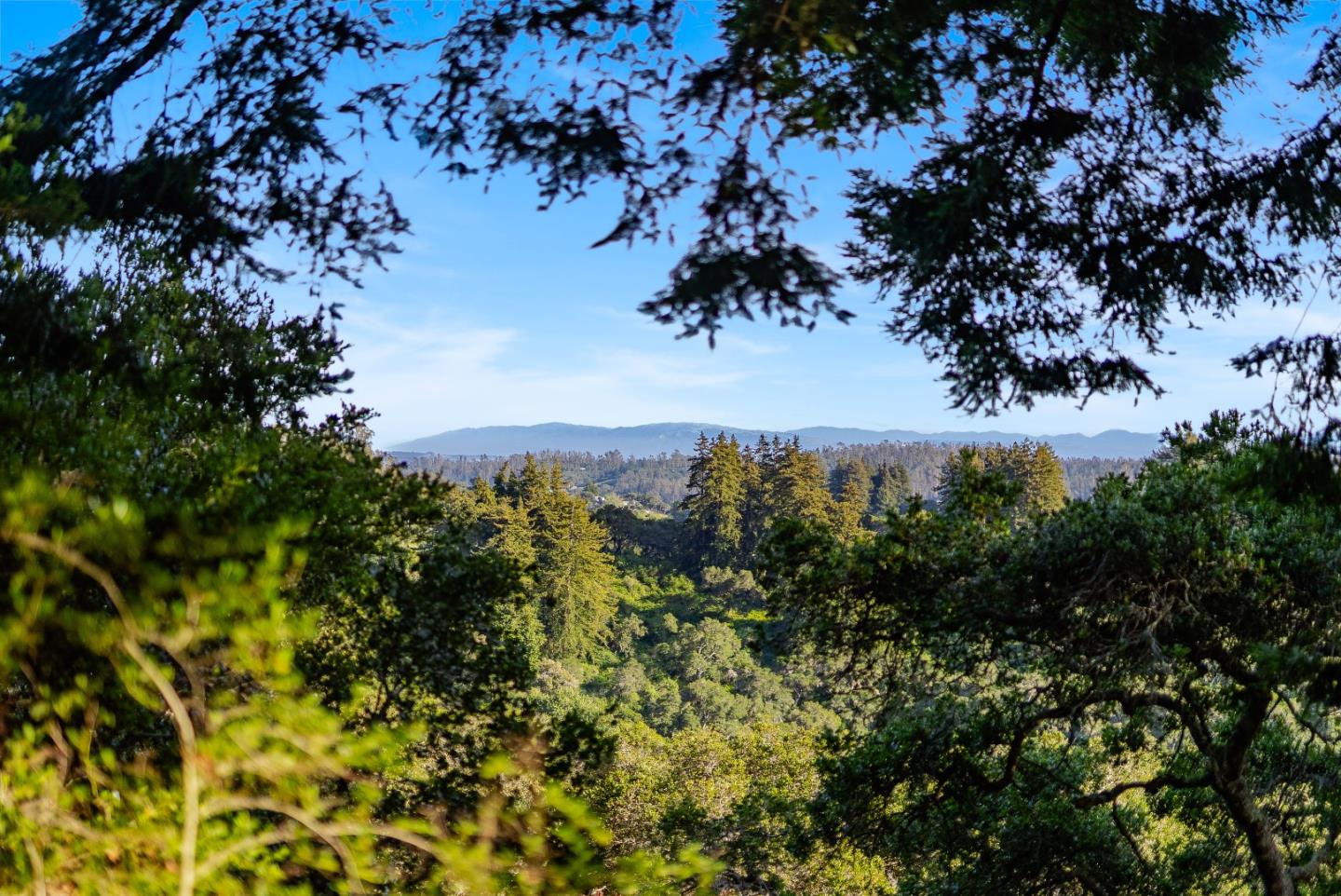 899 Calabasas Road