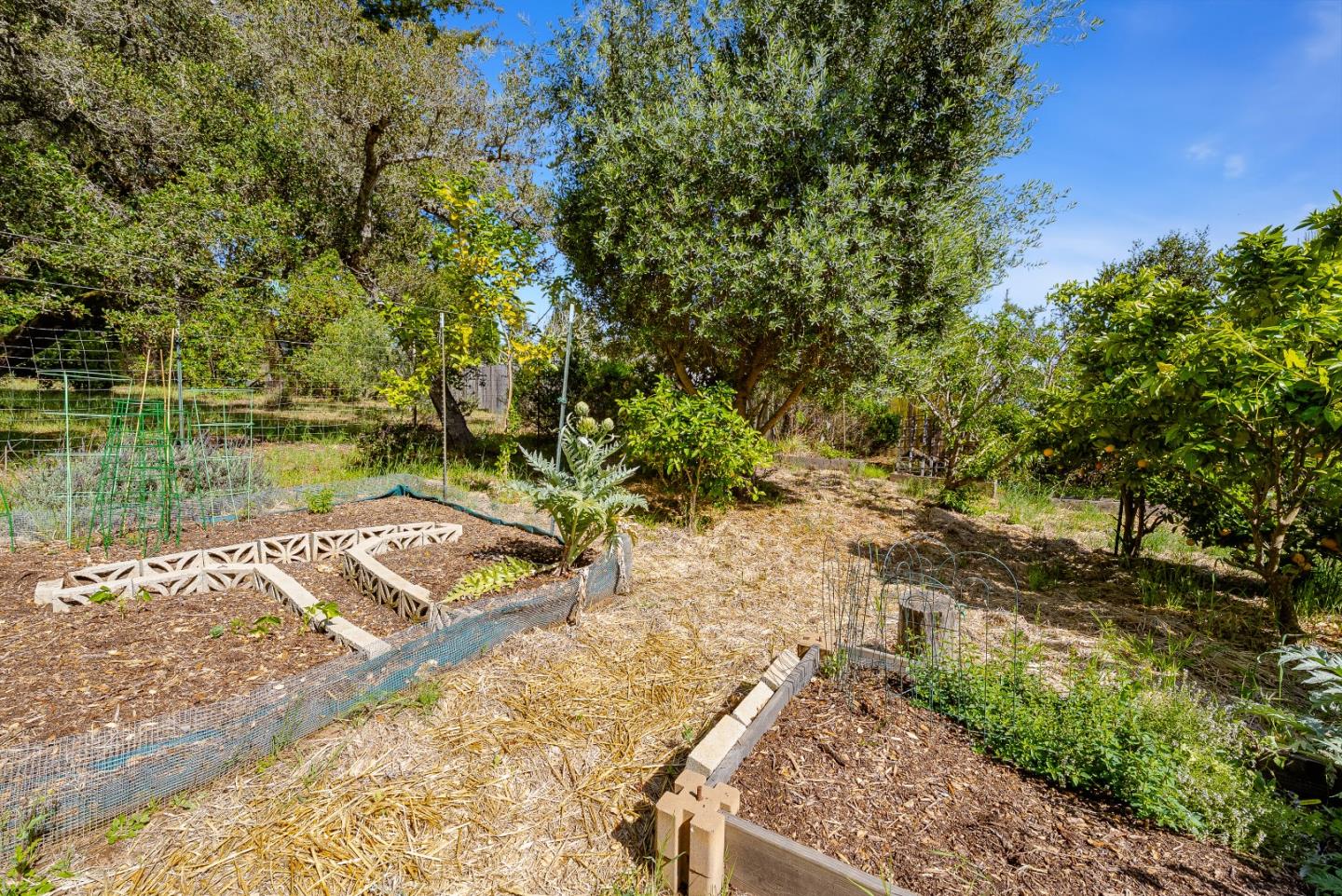 899 Calabasas Road