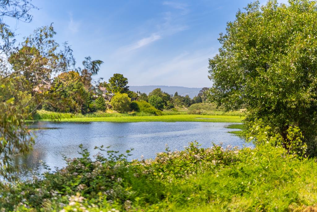 155 Montebello Drive