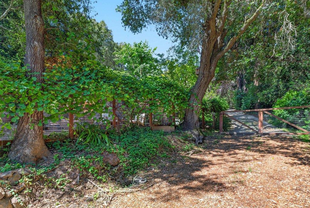 2030 Sparrow Valley RD