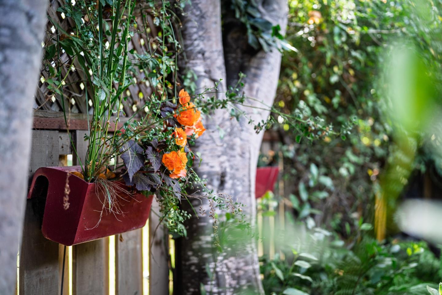 201 Hacienda