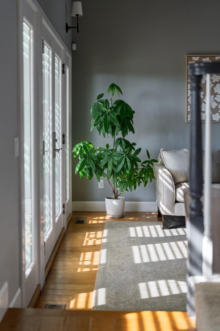 3395 Daffodil CT