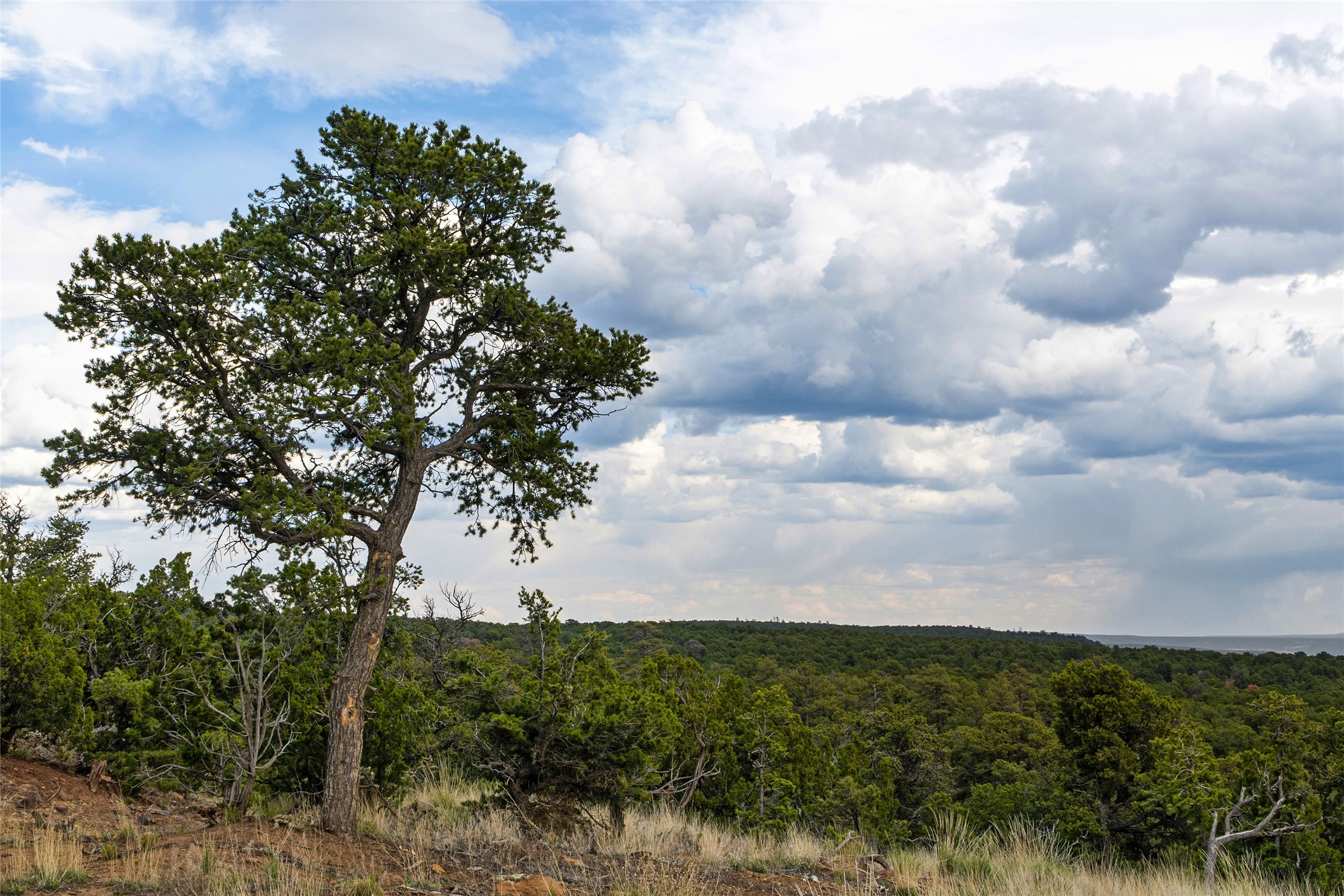 121 Soaring Hawk Trail