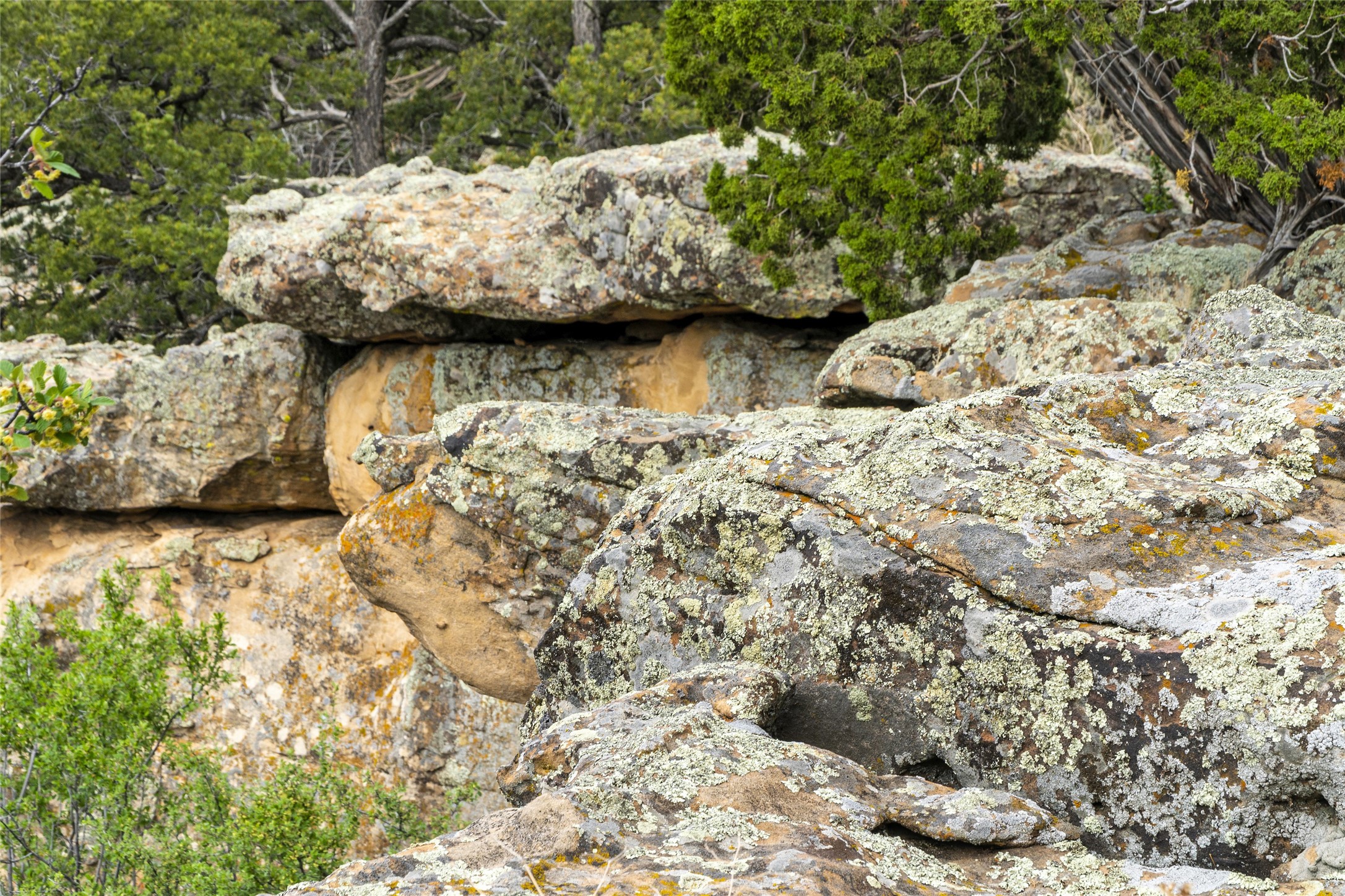 121 Soaring Hawk Trail