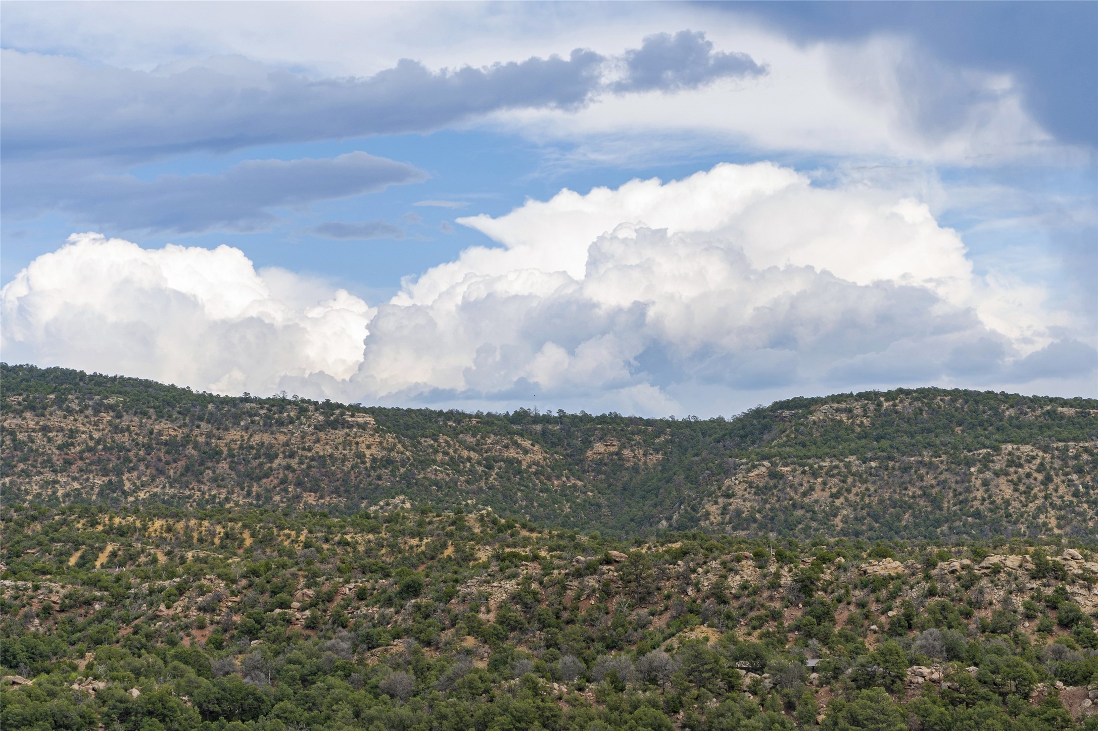 121 Soaring Hawk Trail