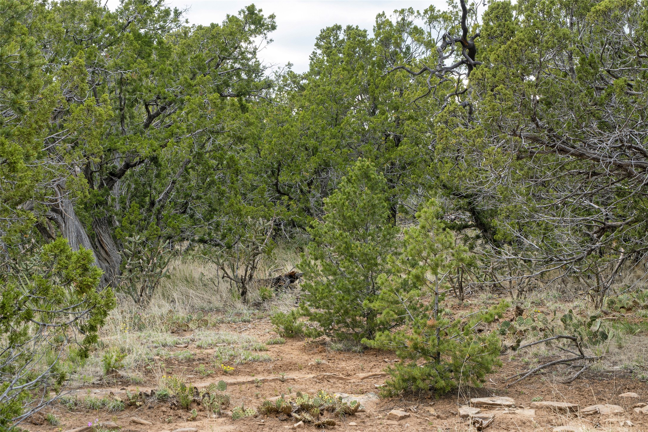 121 Soaring Hawk Trail