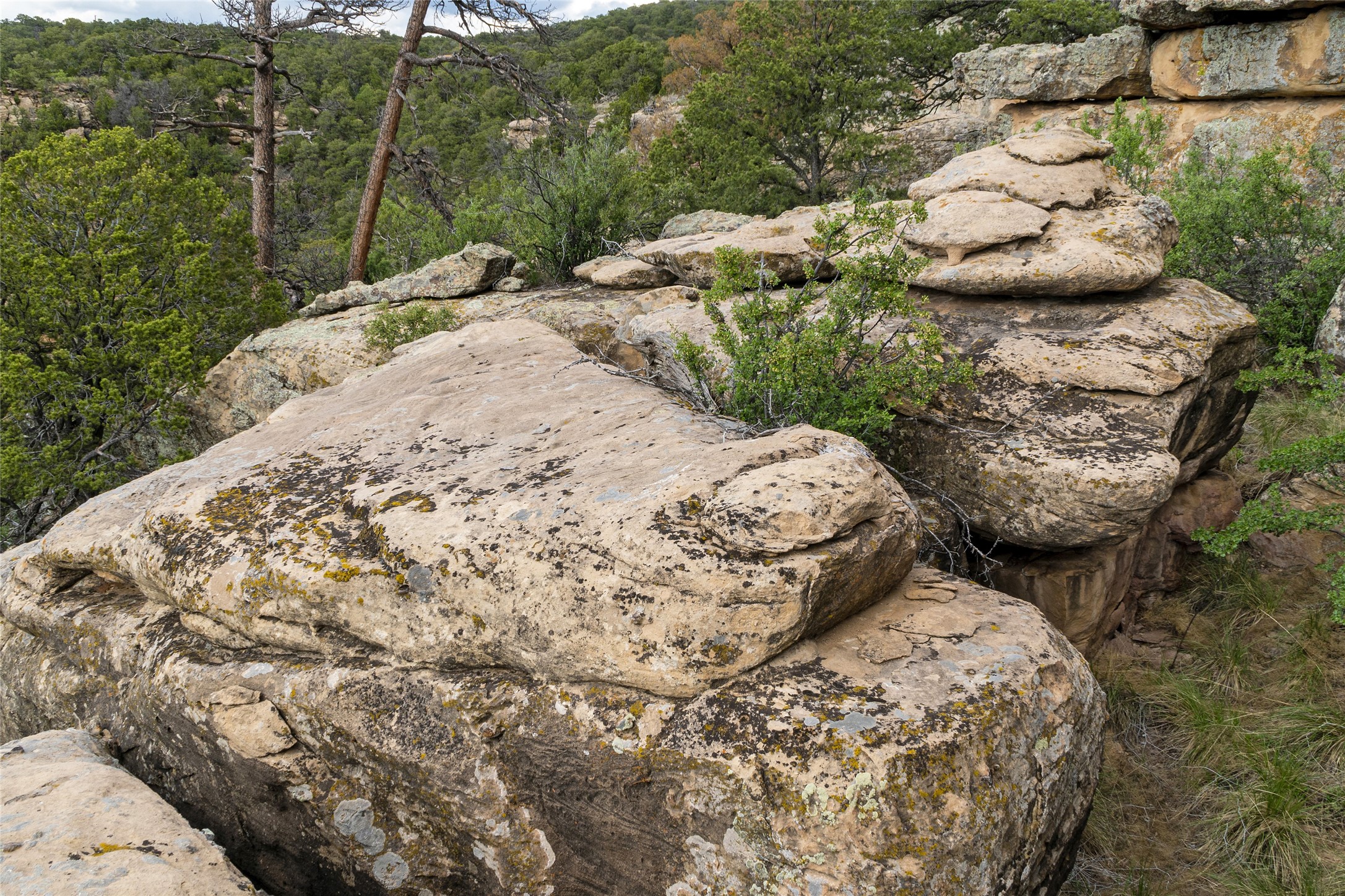 121 Soaring Hawk Trail