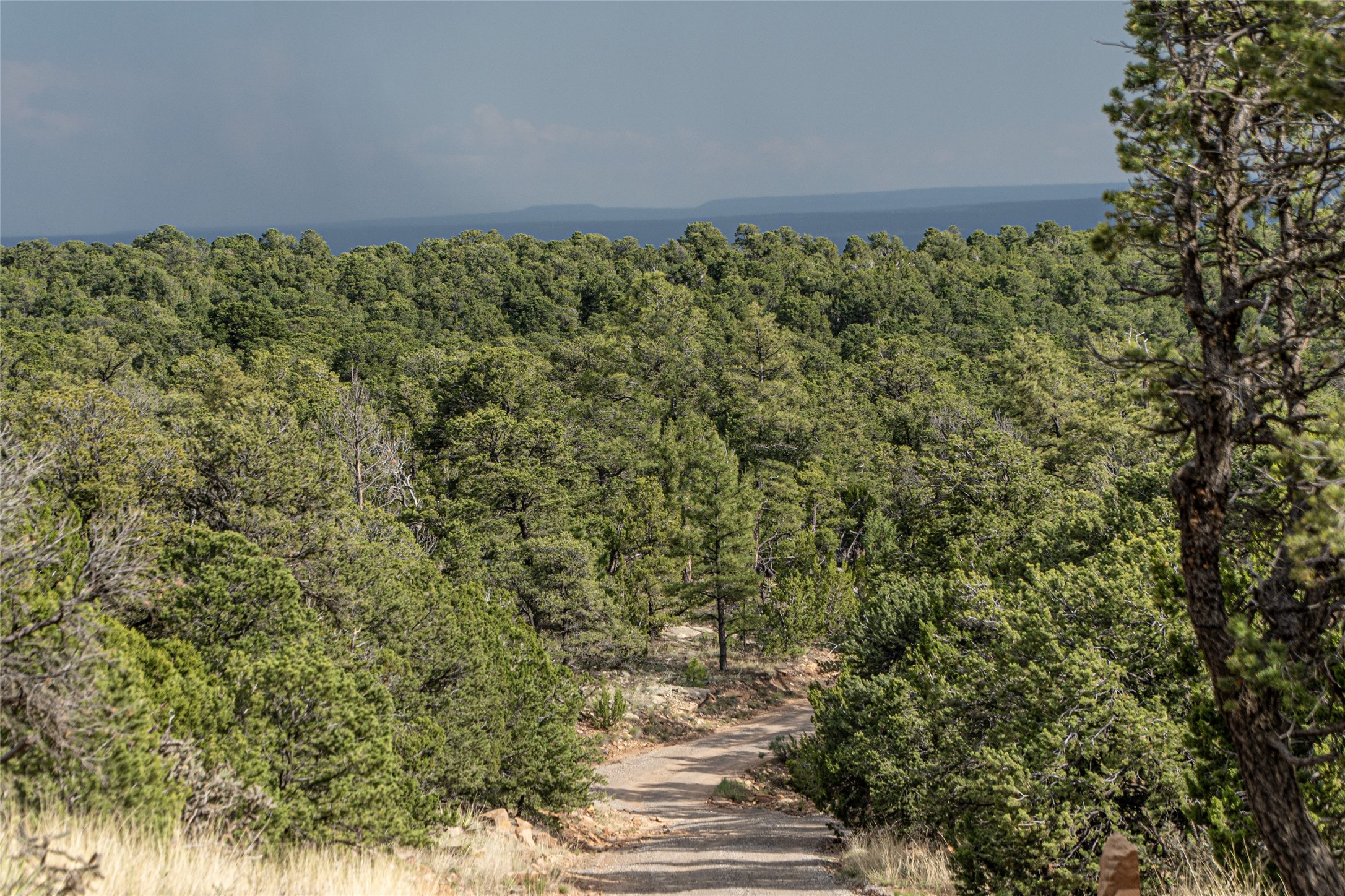 121 Soaring Hawk Trail