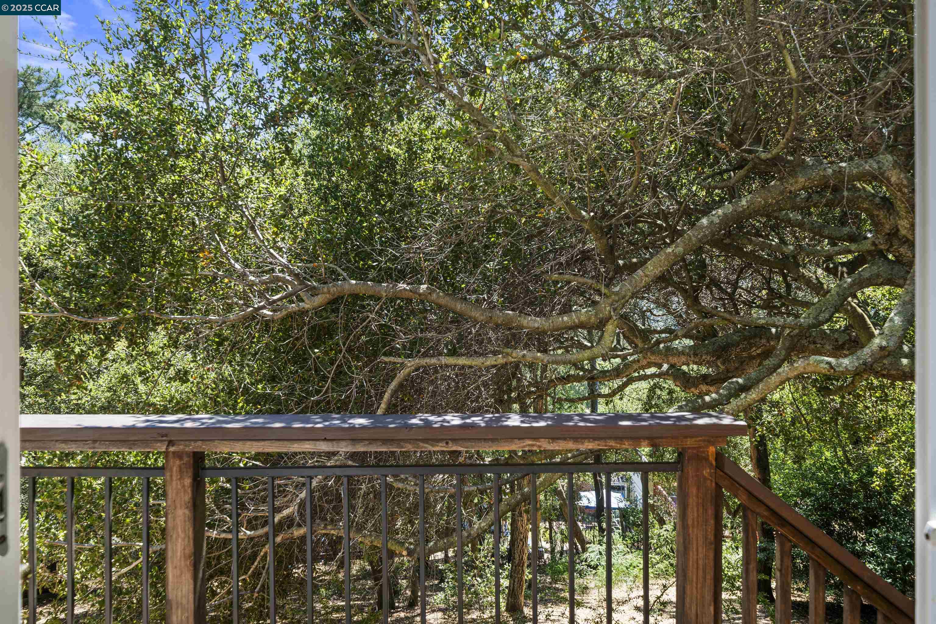 11 Idyll Ct (Off Market)