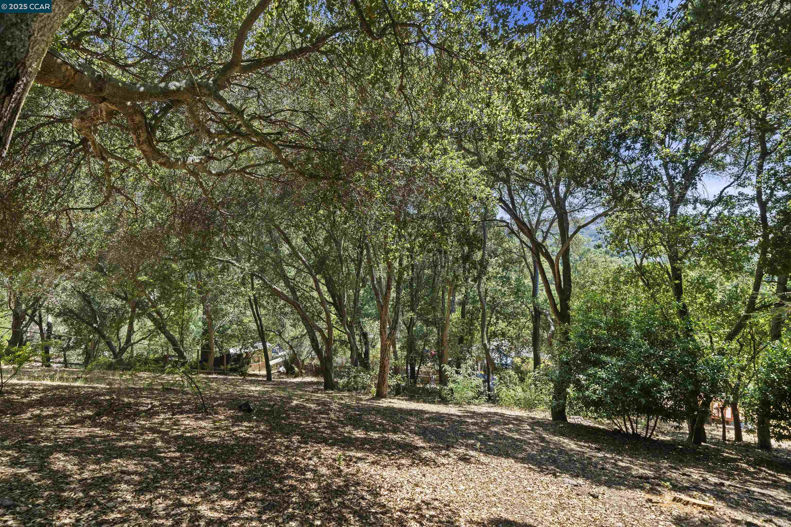 11 Idyll Ct (Off Market)