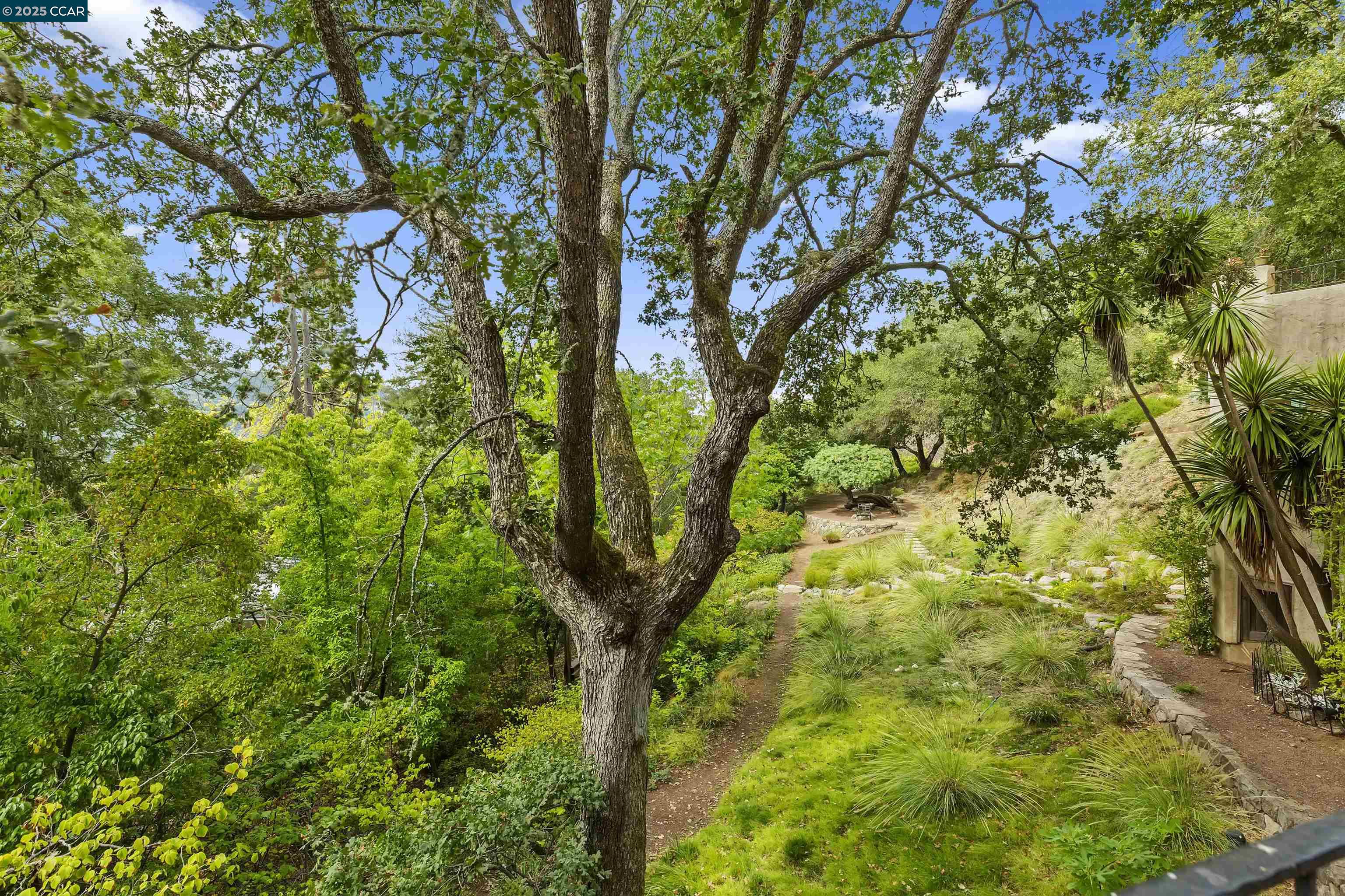 1 La Campana Rd, Apt #1