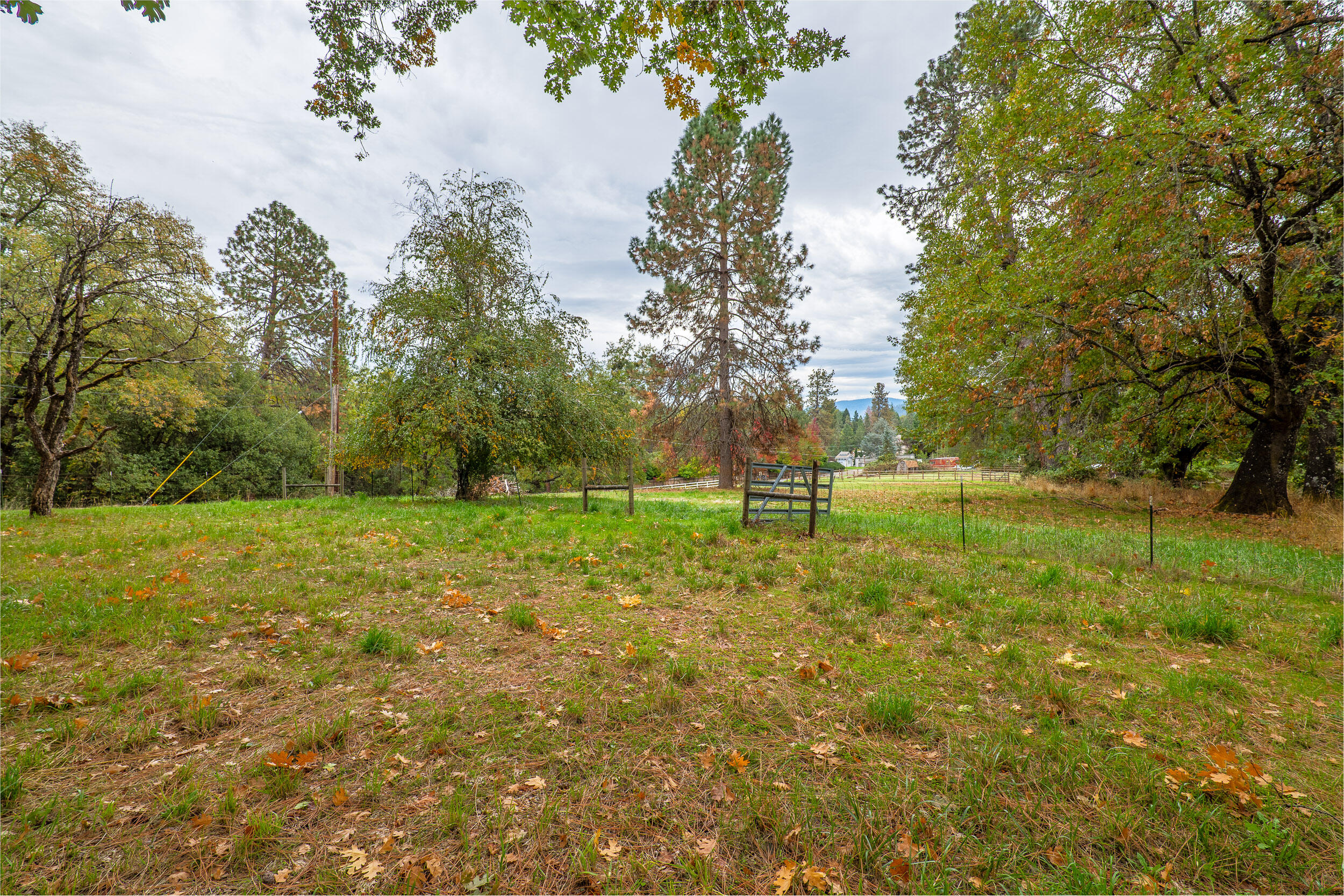 1940 Applegate Avenue
