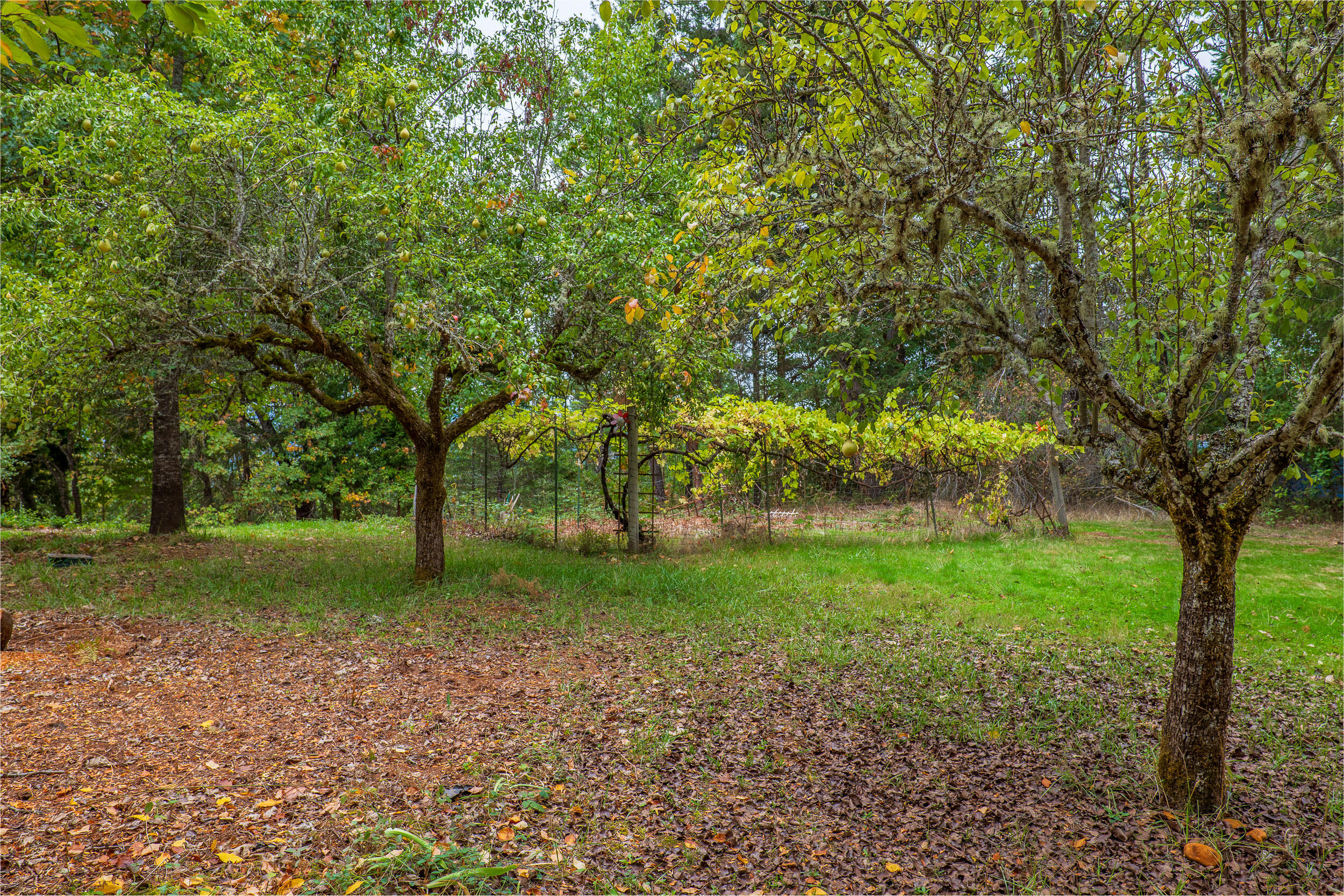 1940 Applegate Avenue