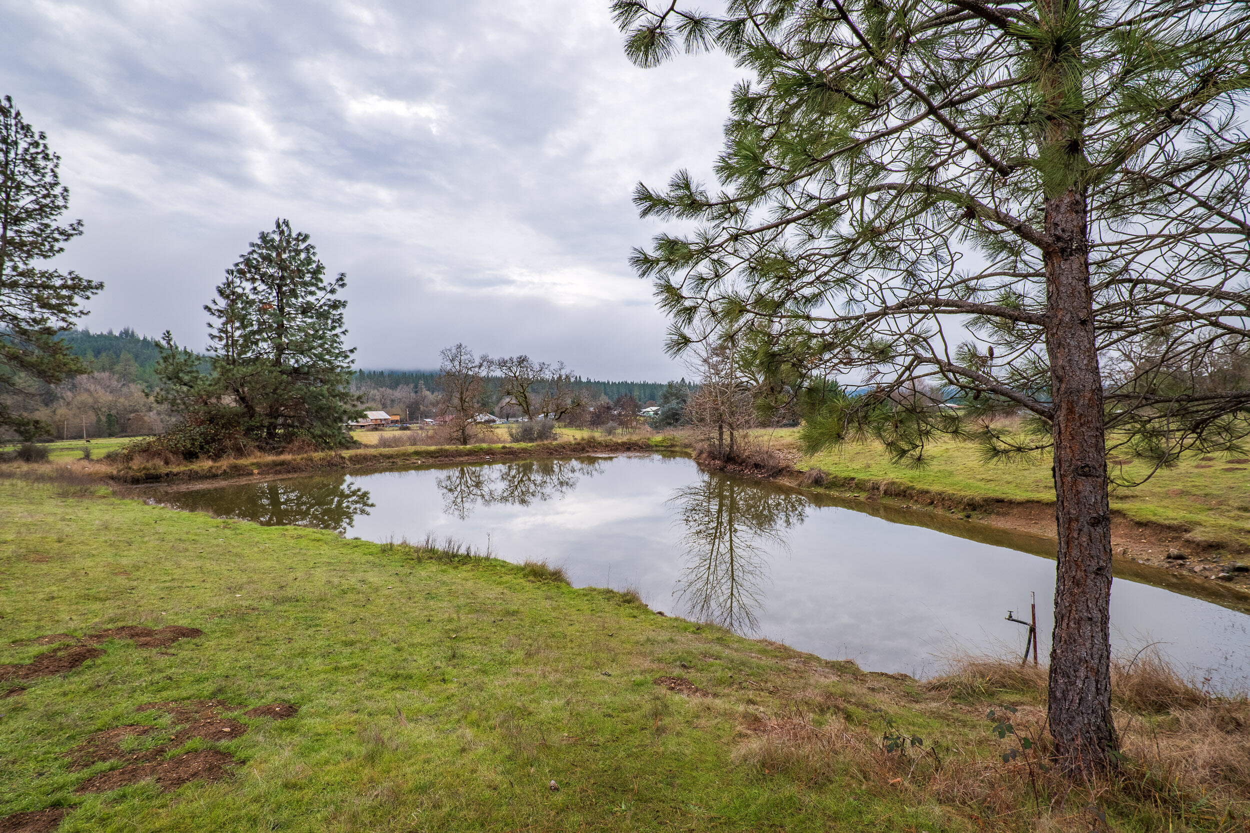10049 E Evans Creek Road