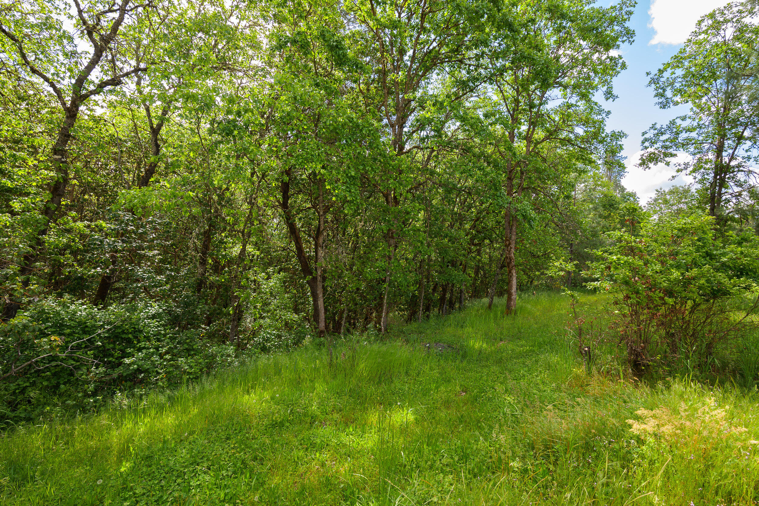 4822 Upper River Road