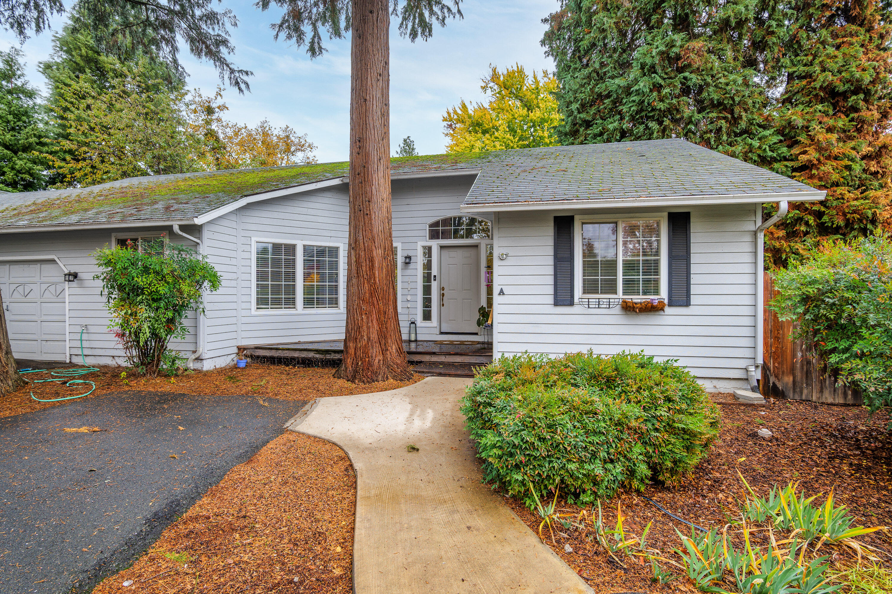 1414 Parkdale Drive