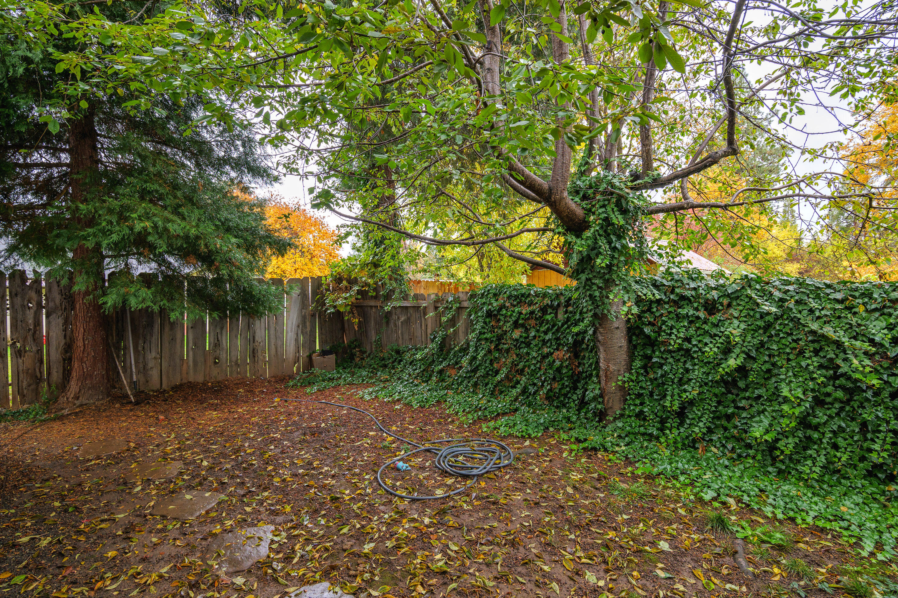 1414 Parkdale Drive