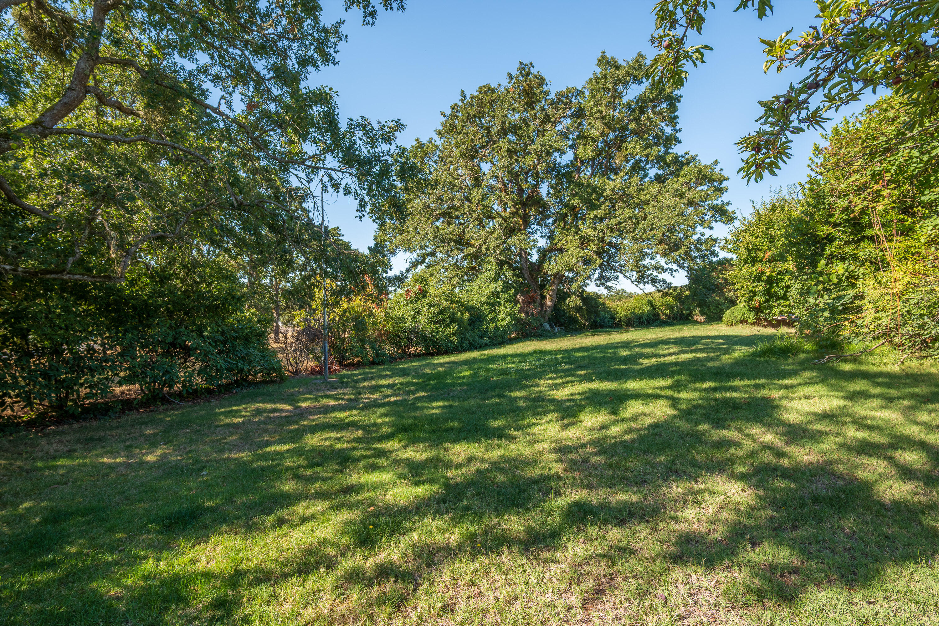 342 Buysman Way