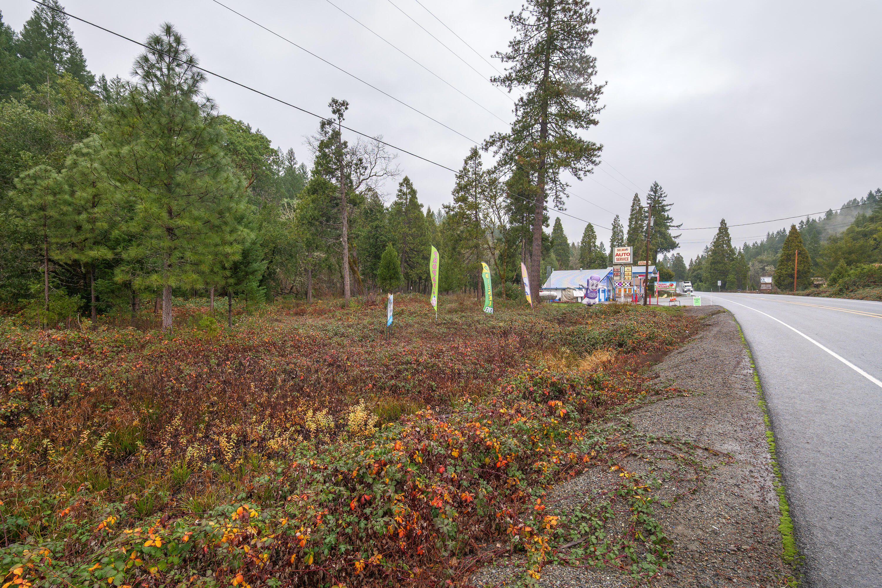 18090 Redwood Highway