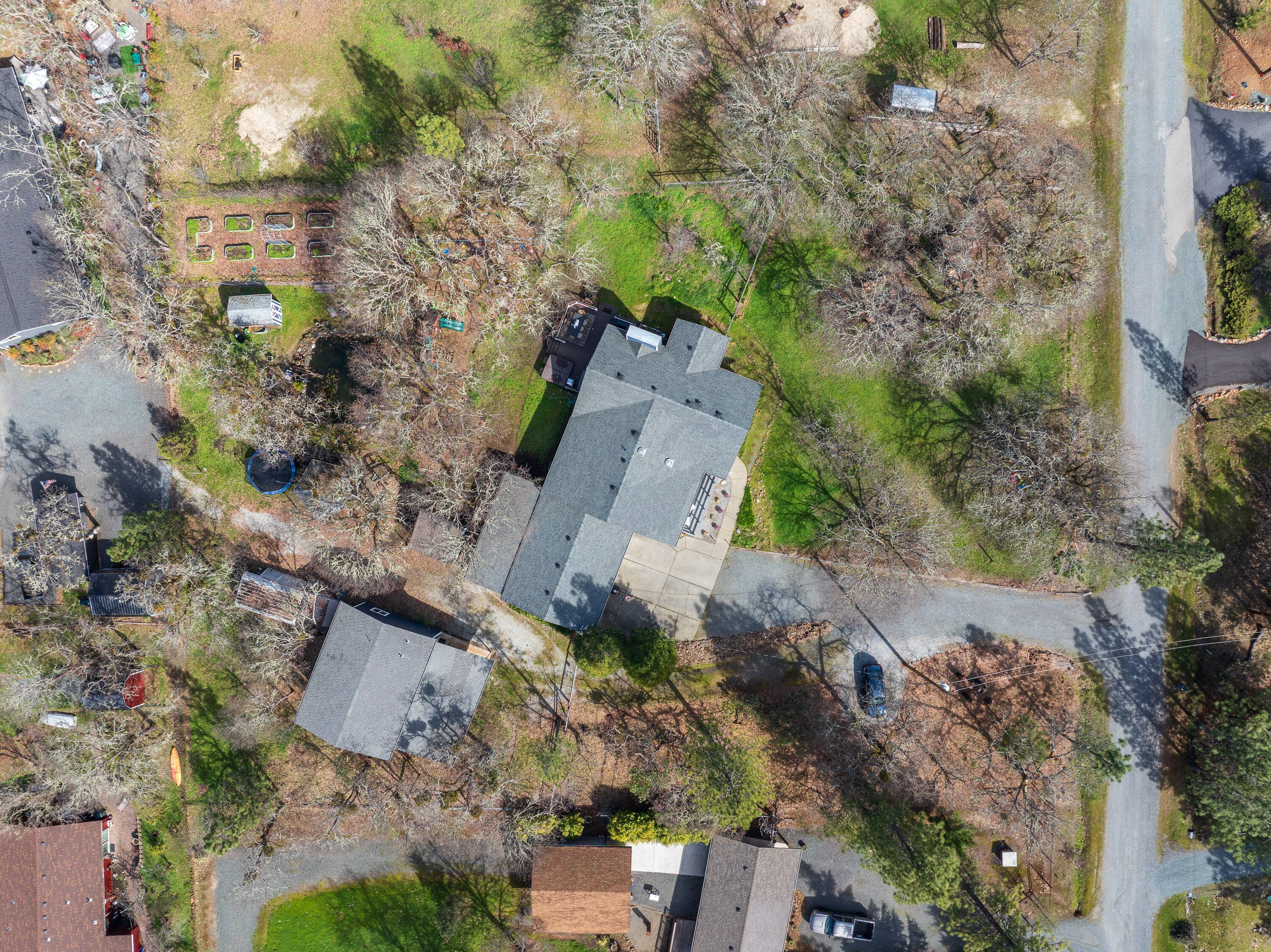 342 Appaloosa Lane