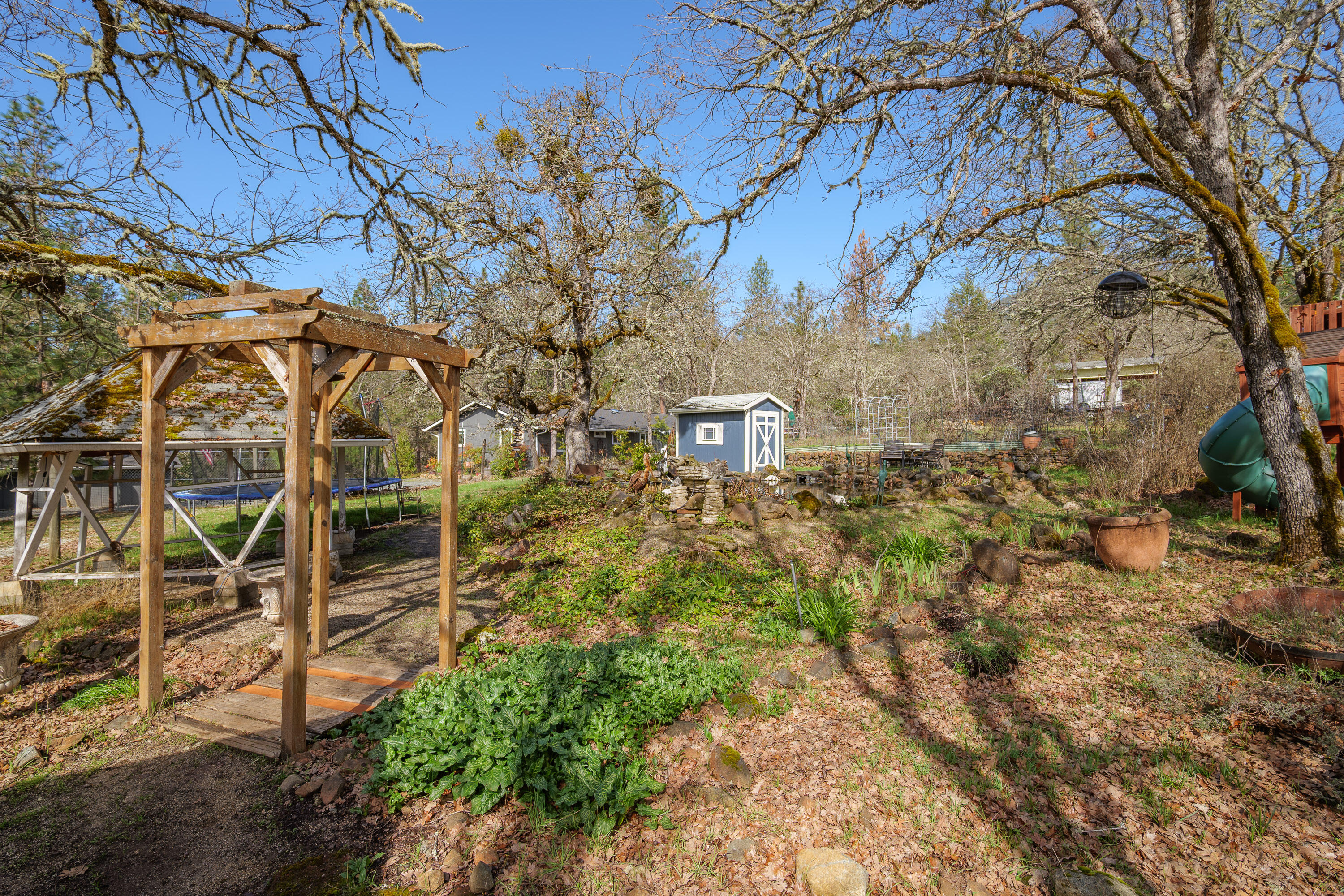 342 Appaloosa Lane