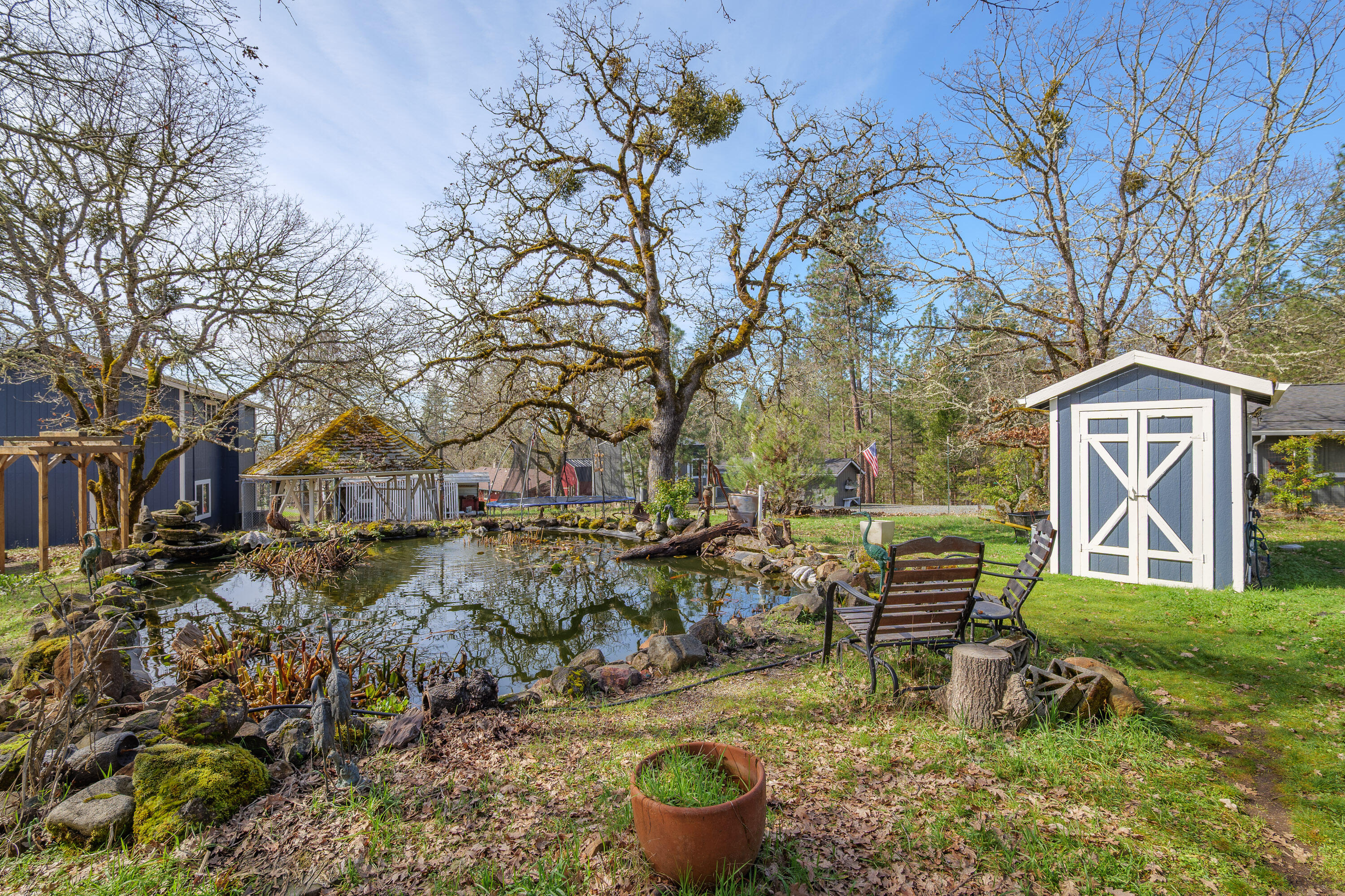 342 Appaloosa Lane
