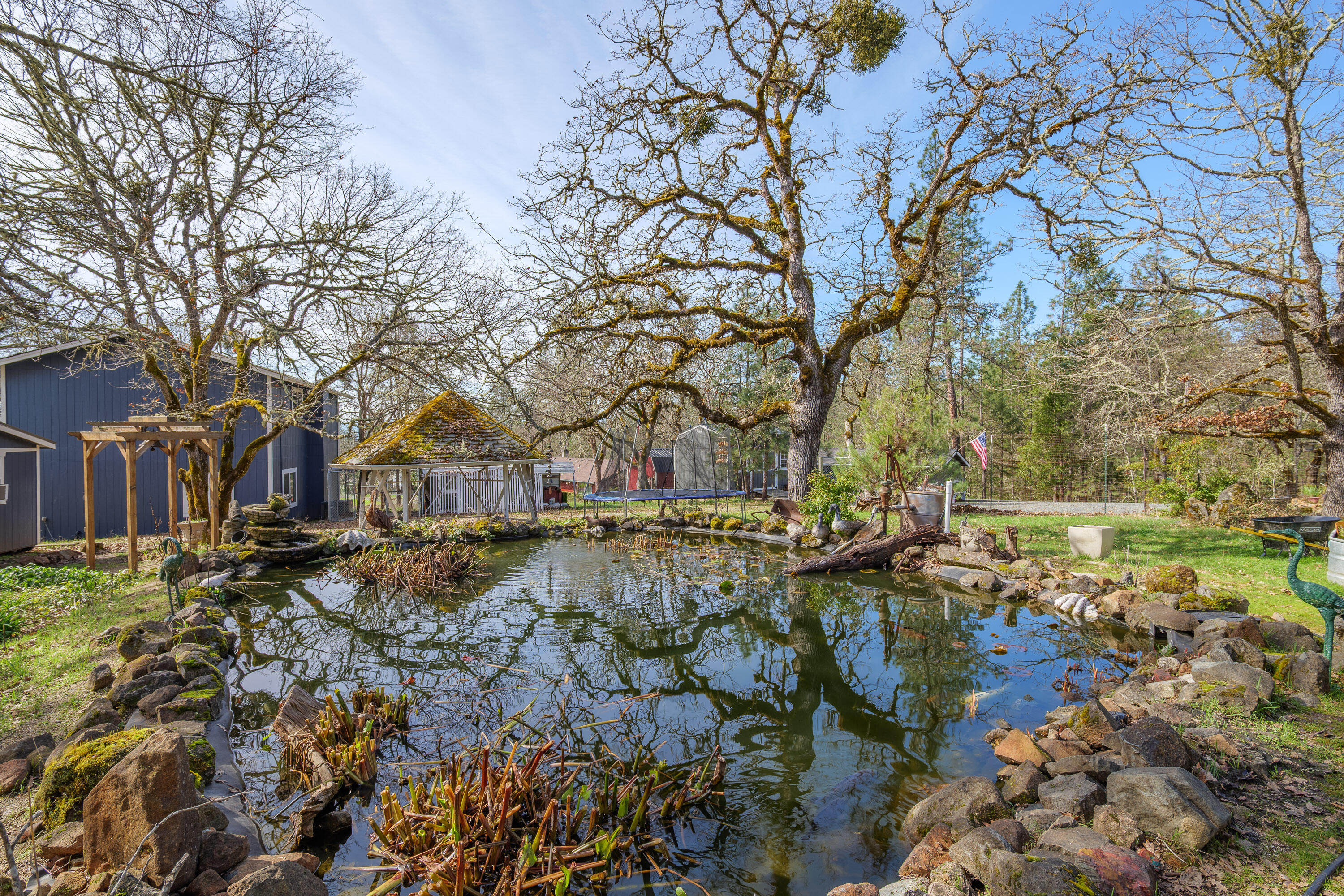 342 Appaloosa Lane