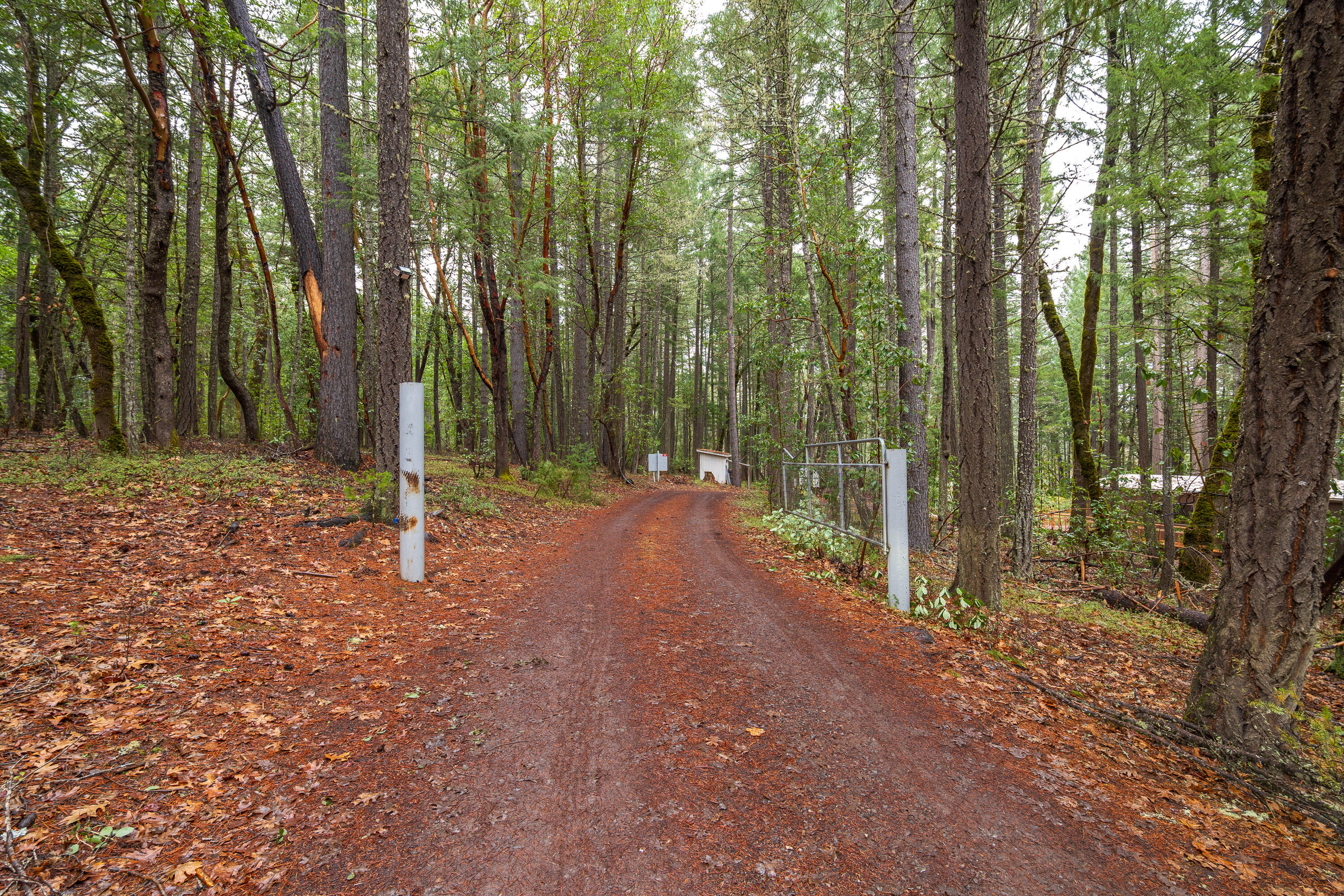 18090 Redwood Highway