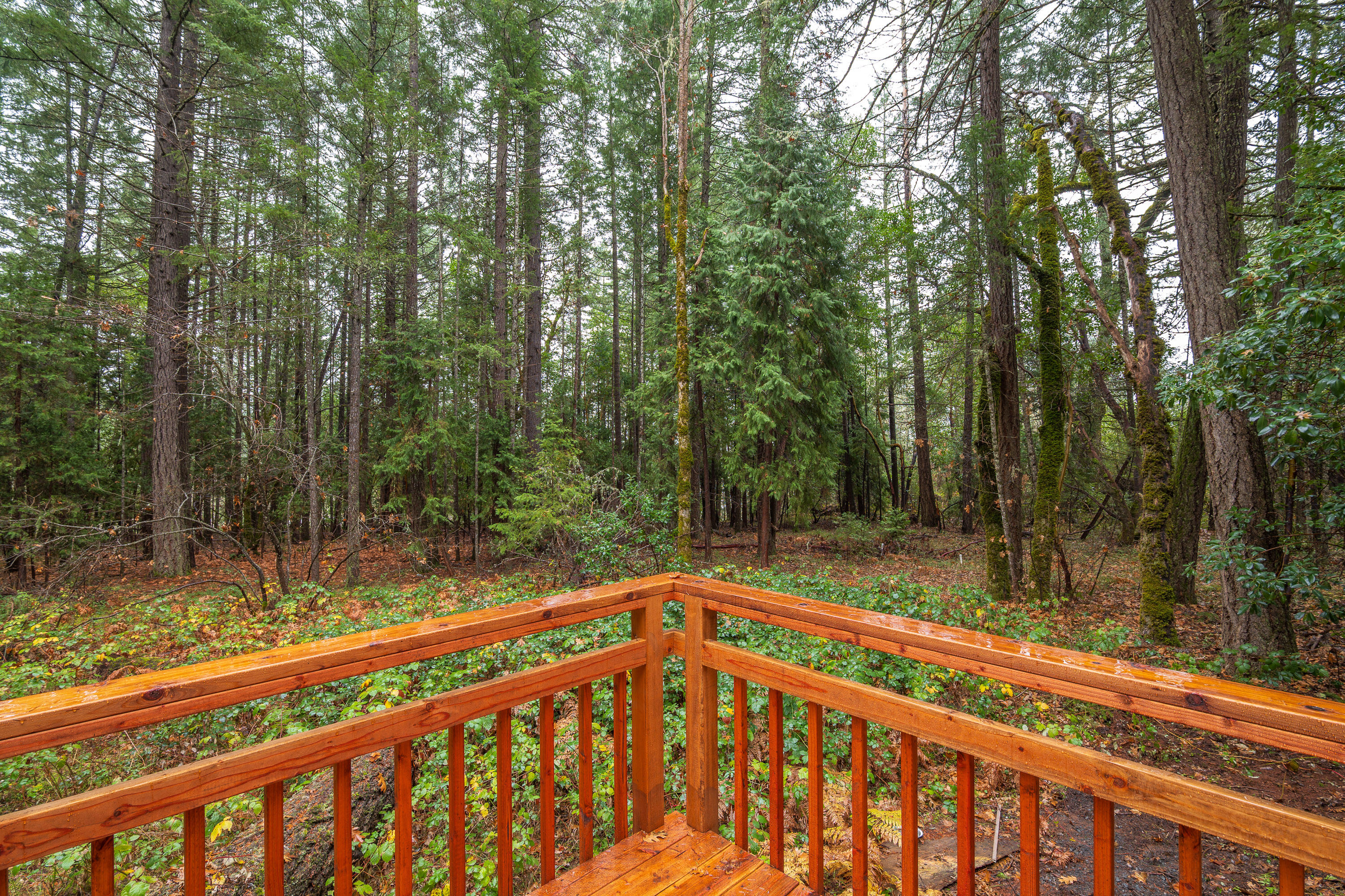 18090 Redwood Highway