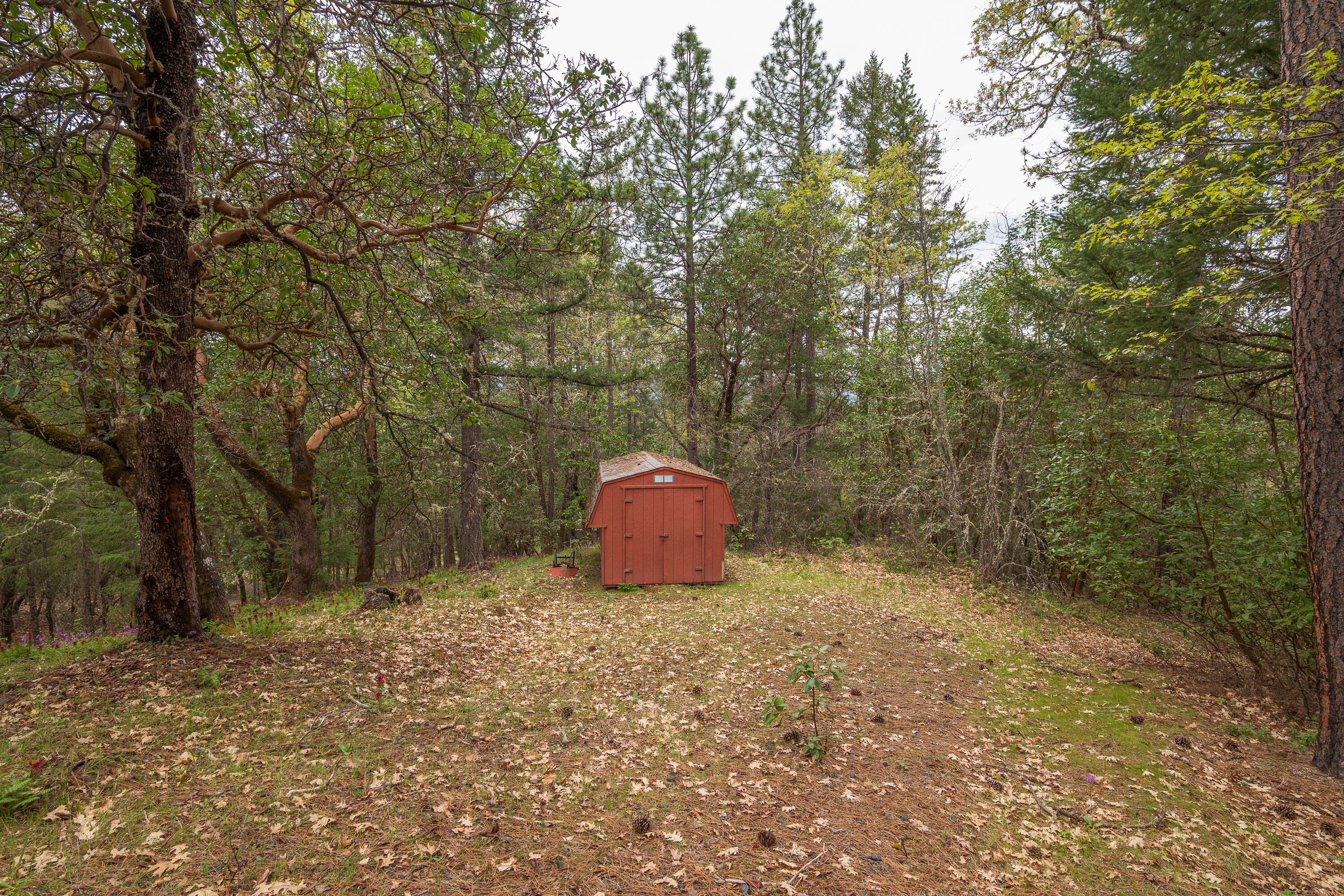 398 Madrone Ridge Drive