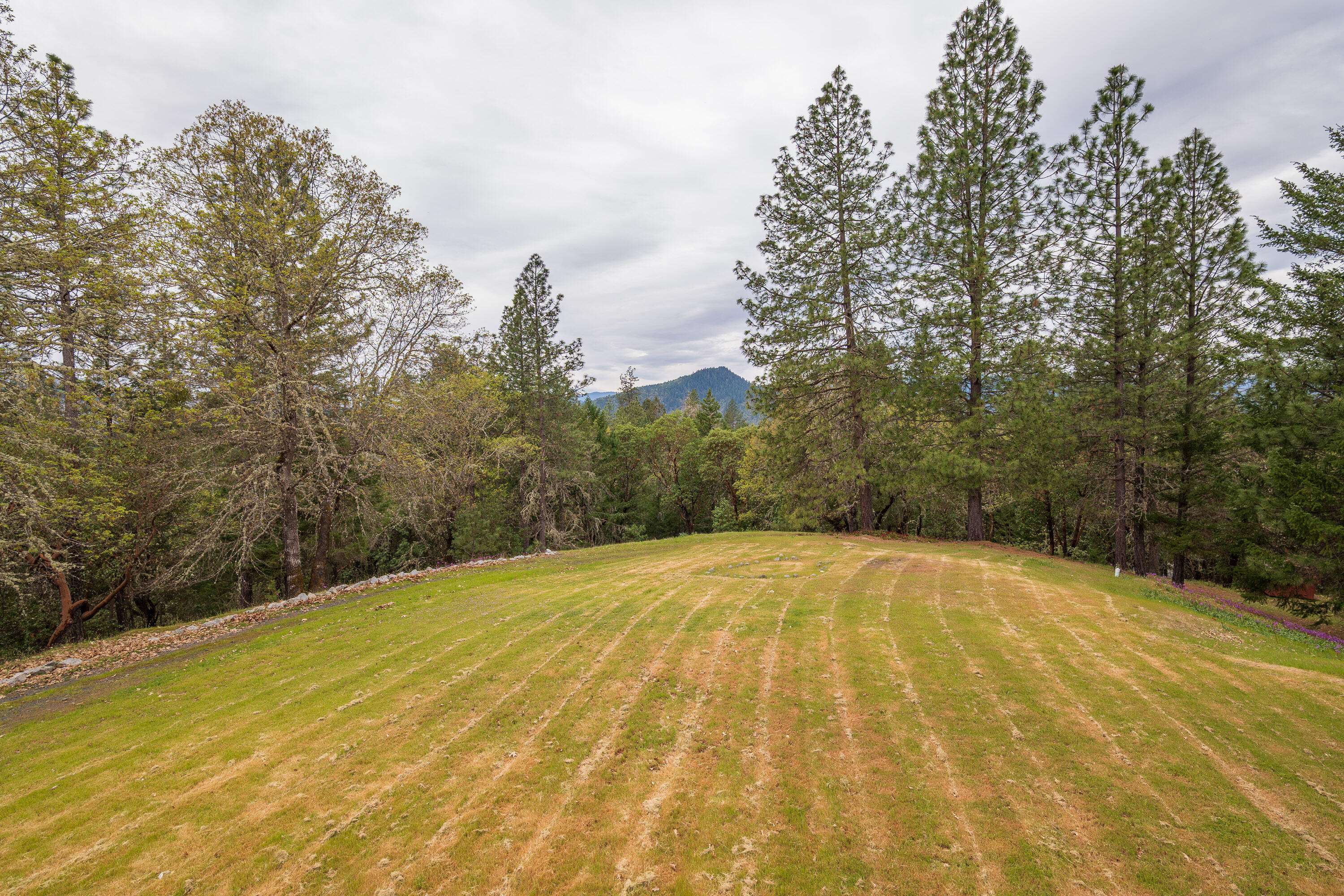 398 Madrone Ridge Drive