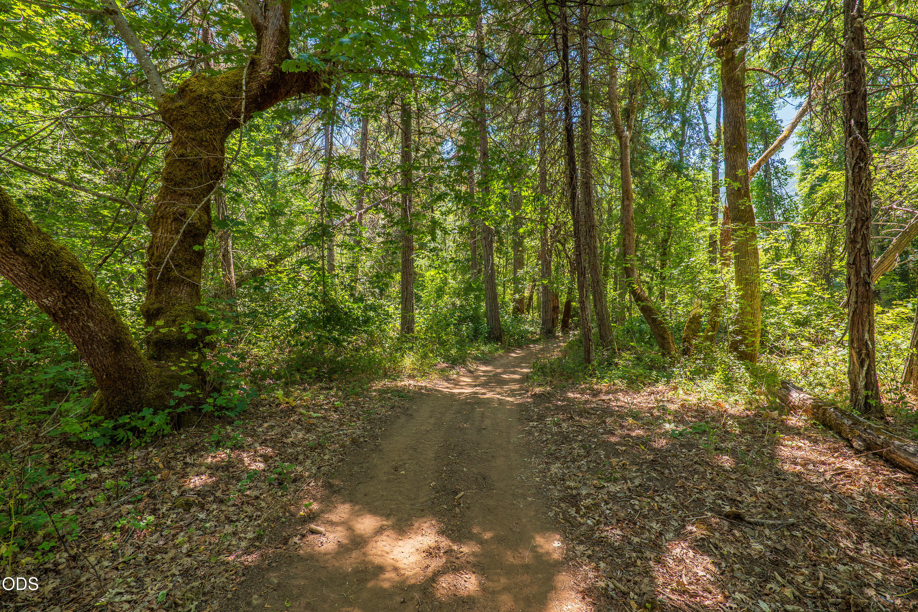 3959 Jumpoff Joe Creek Road