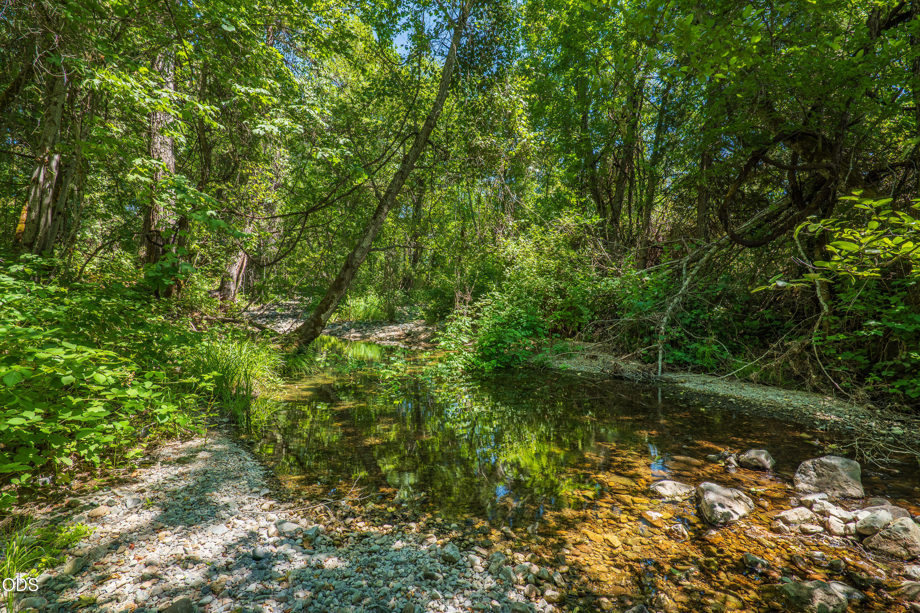 3959 Jumpoff Joe Creek Road