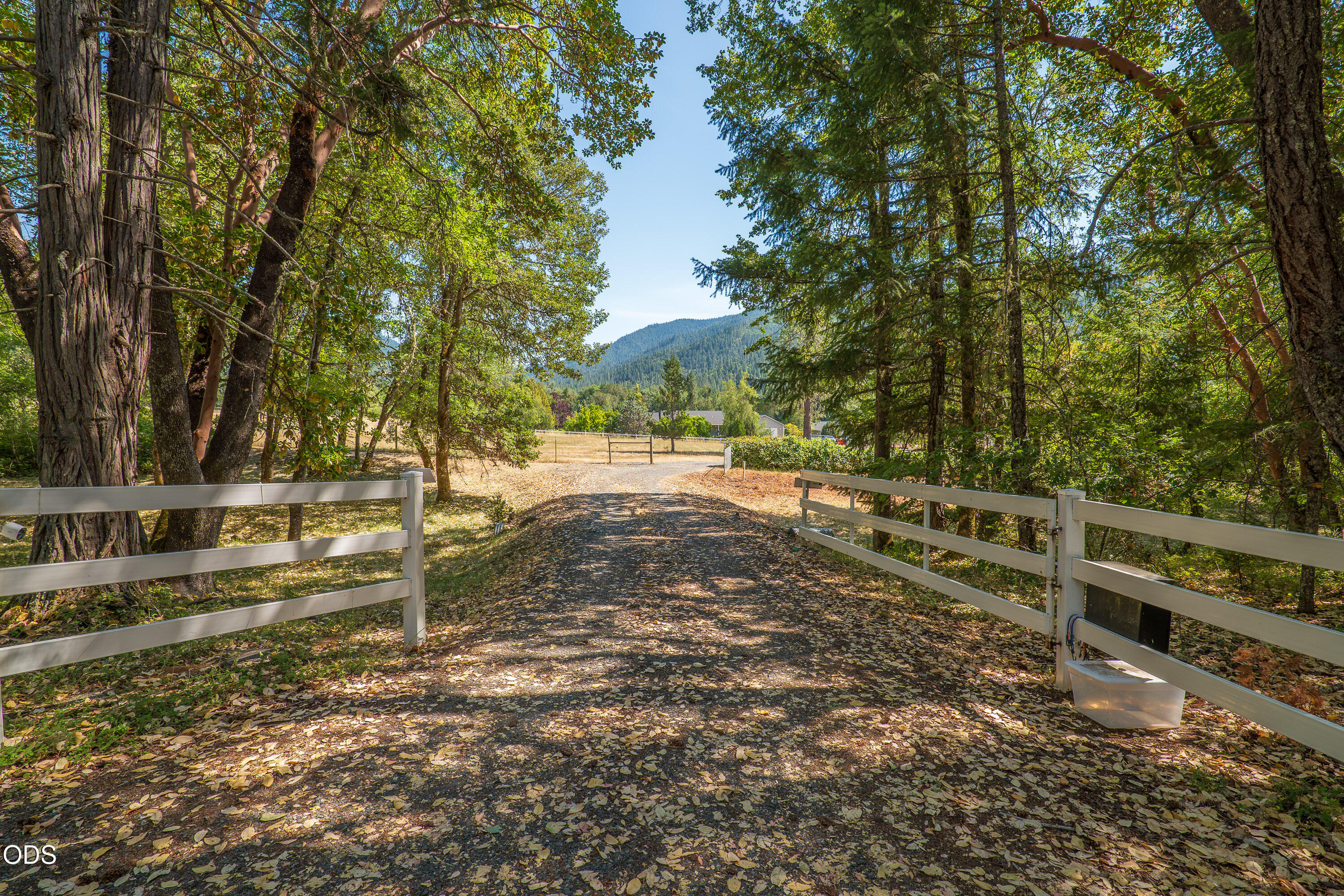 3959 Jumpoff Joe Creek Road